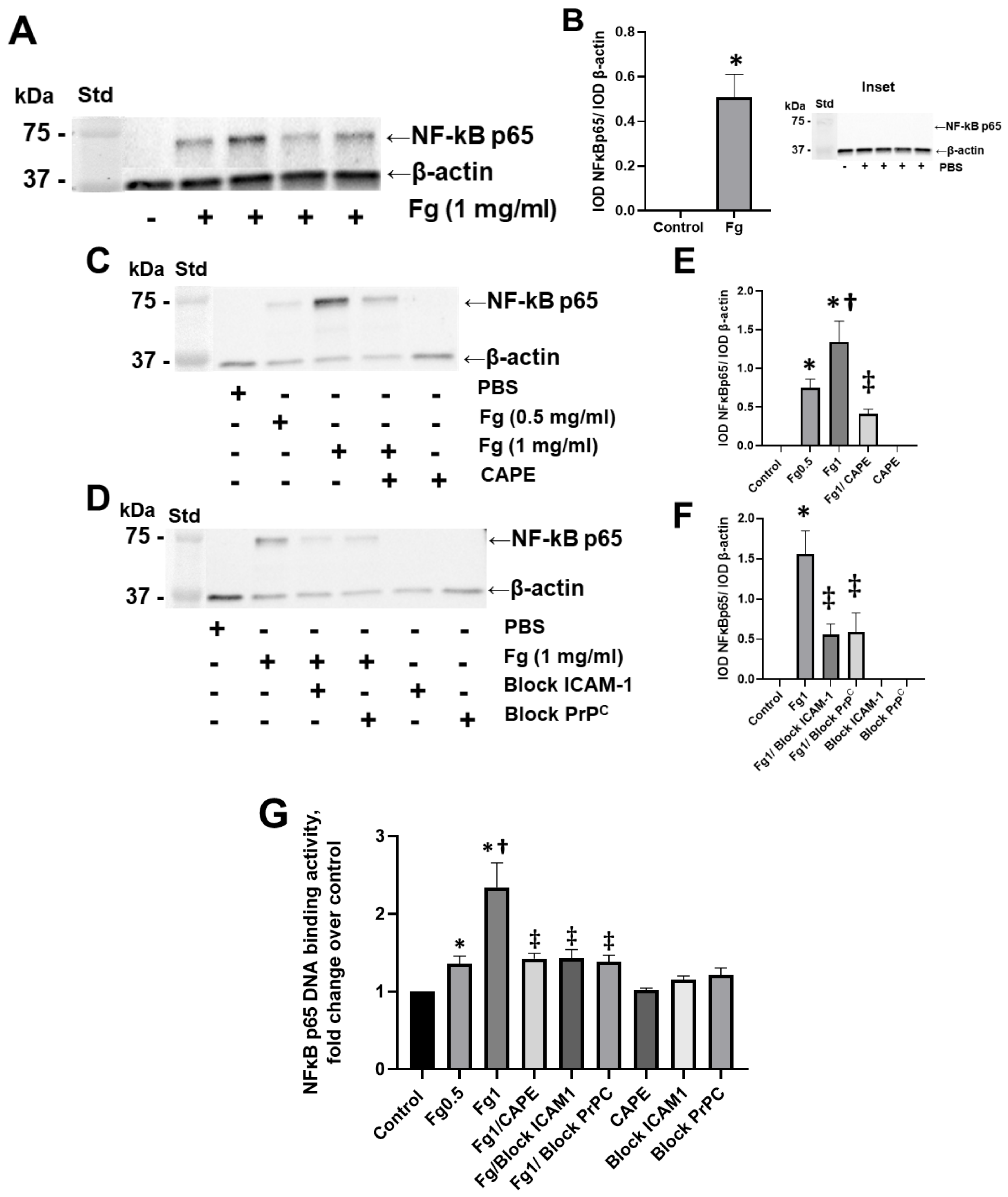 Biomolecules 12 01741 g001