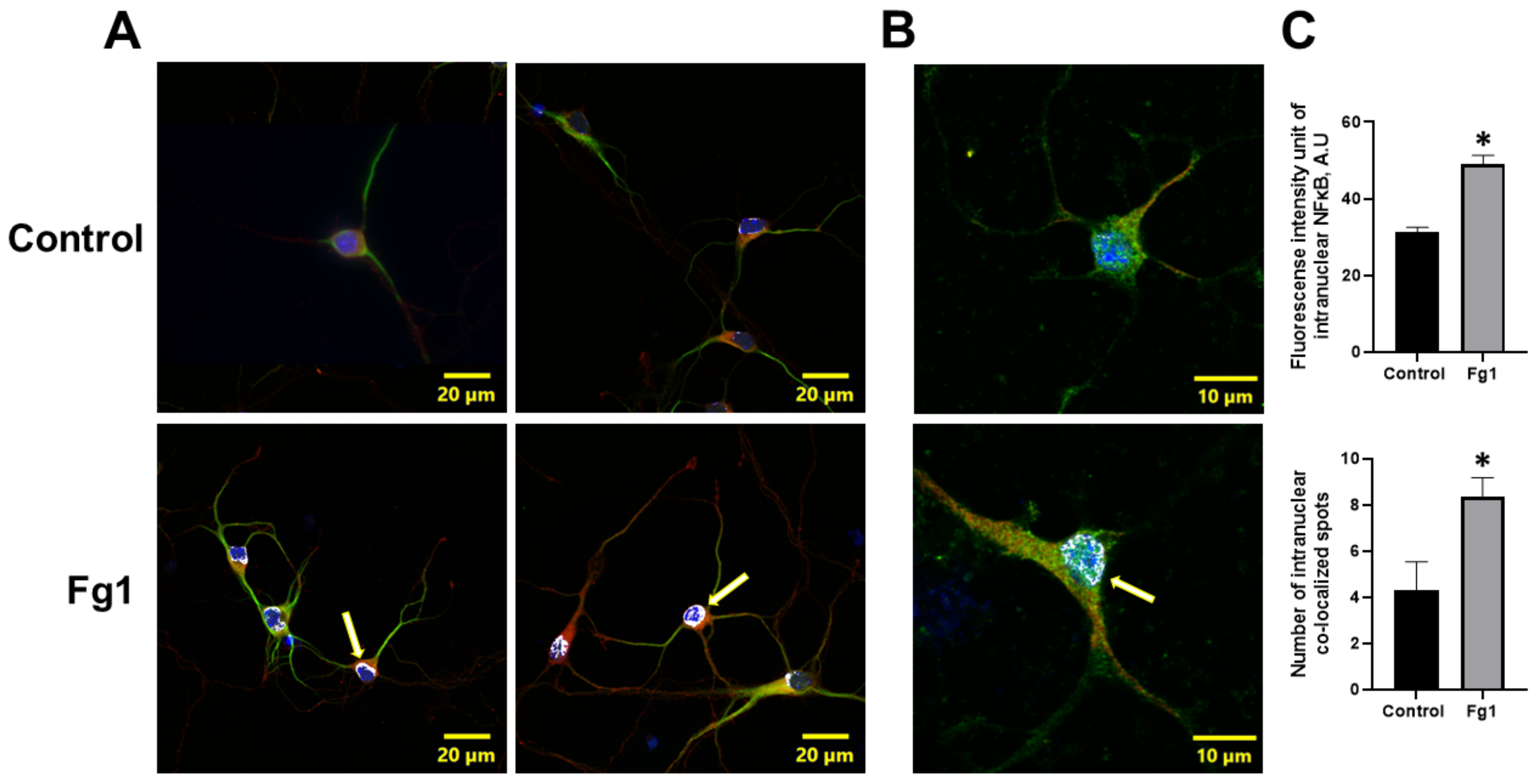 Biomolecules 12 01741 g002