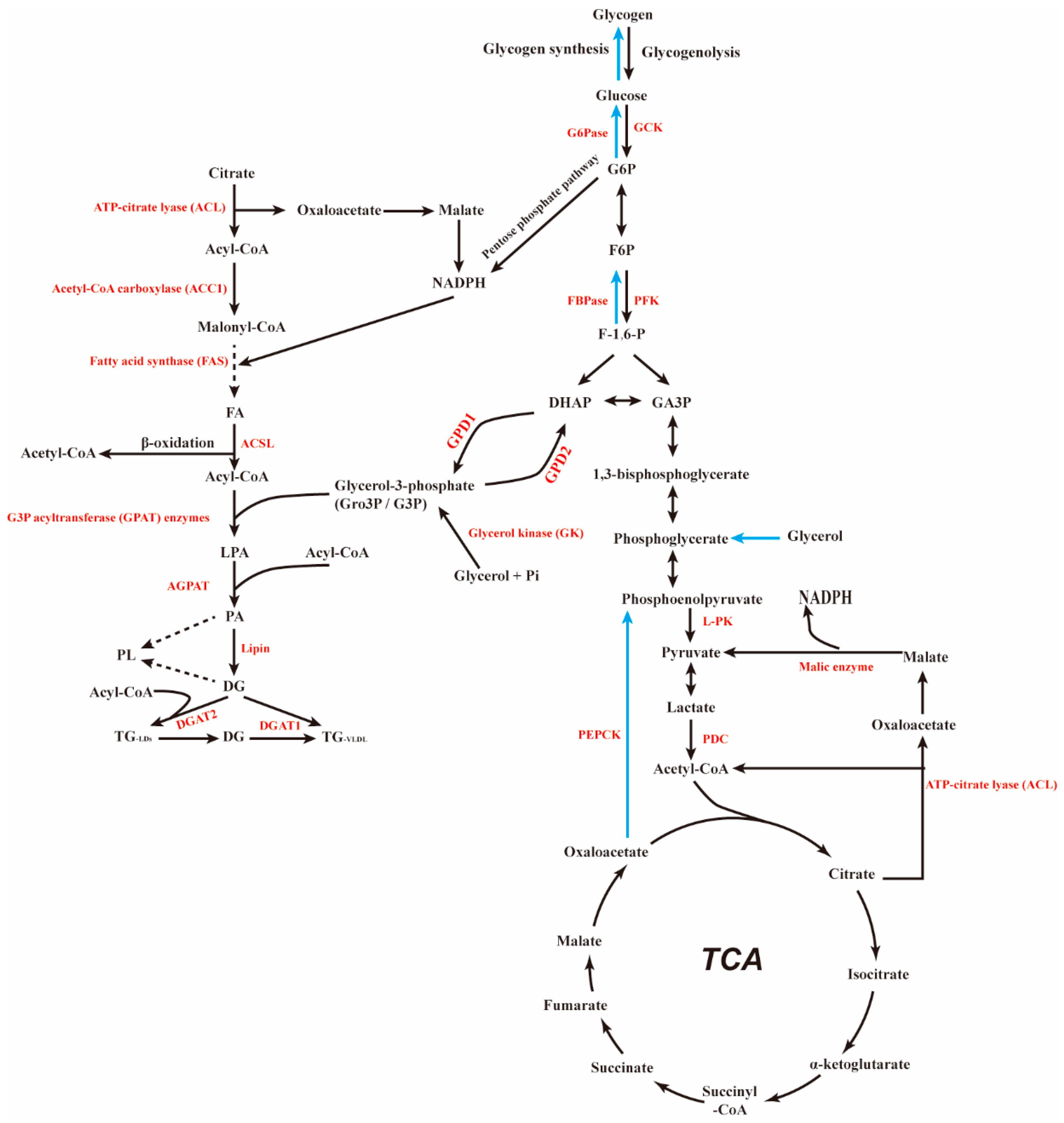 Biomolecules 12 01755 g001