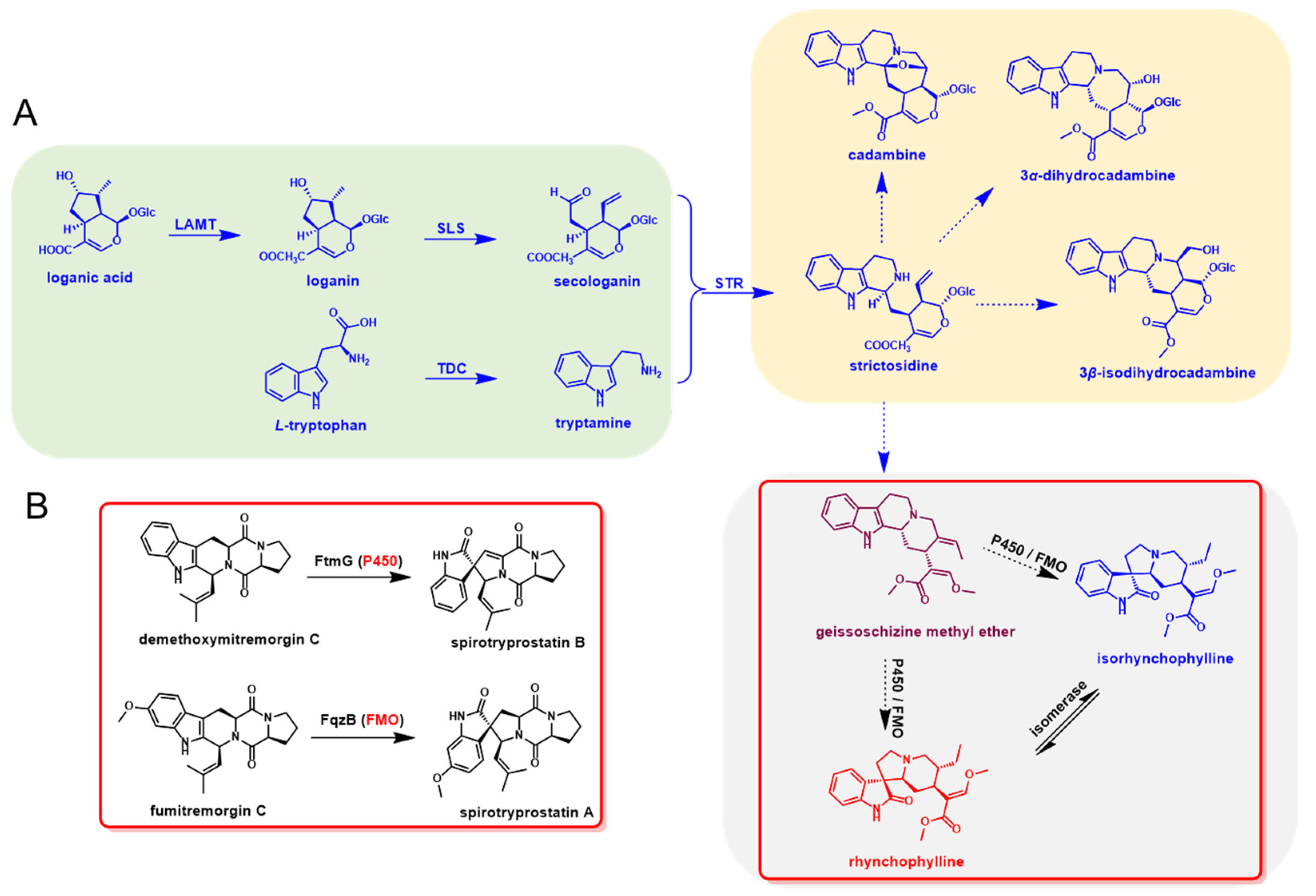 Biomolecules 12 01790 g001