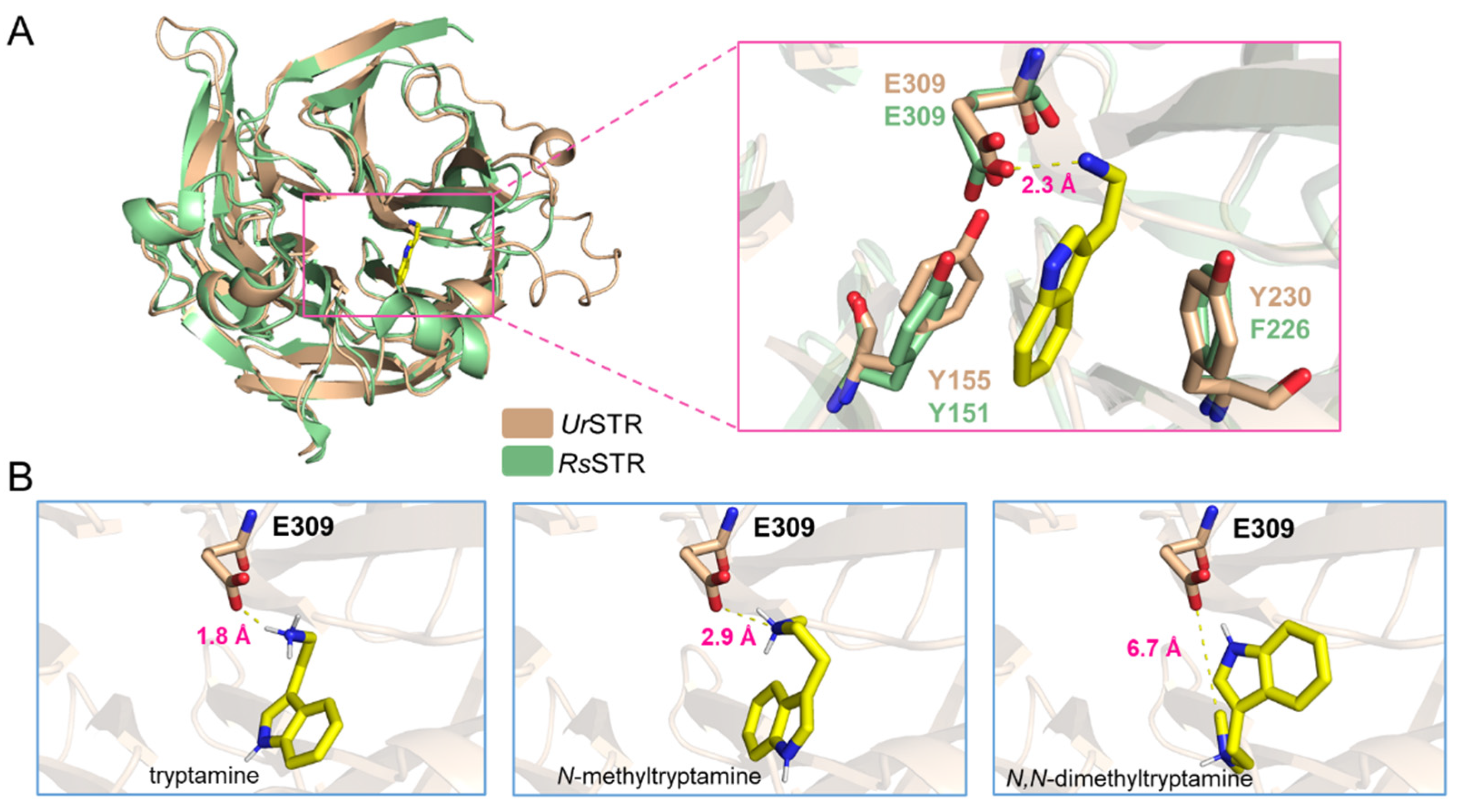 Biomolecules 12 01790 g008