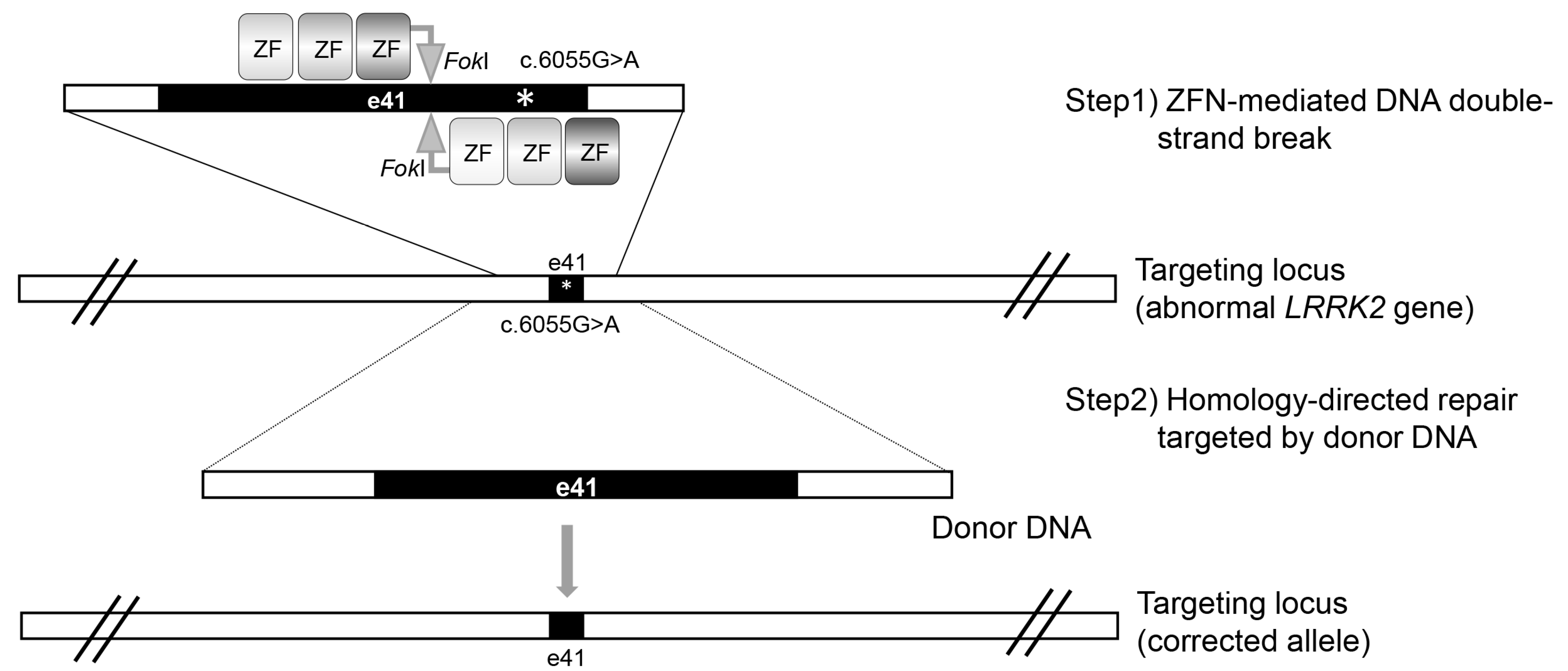 Biomolecules 12 01814 g001