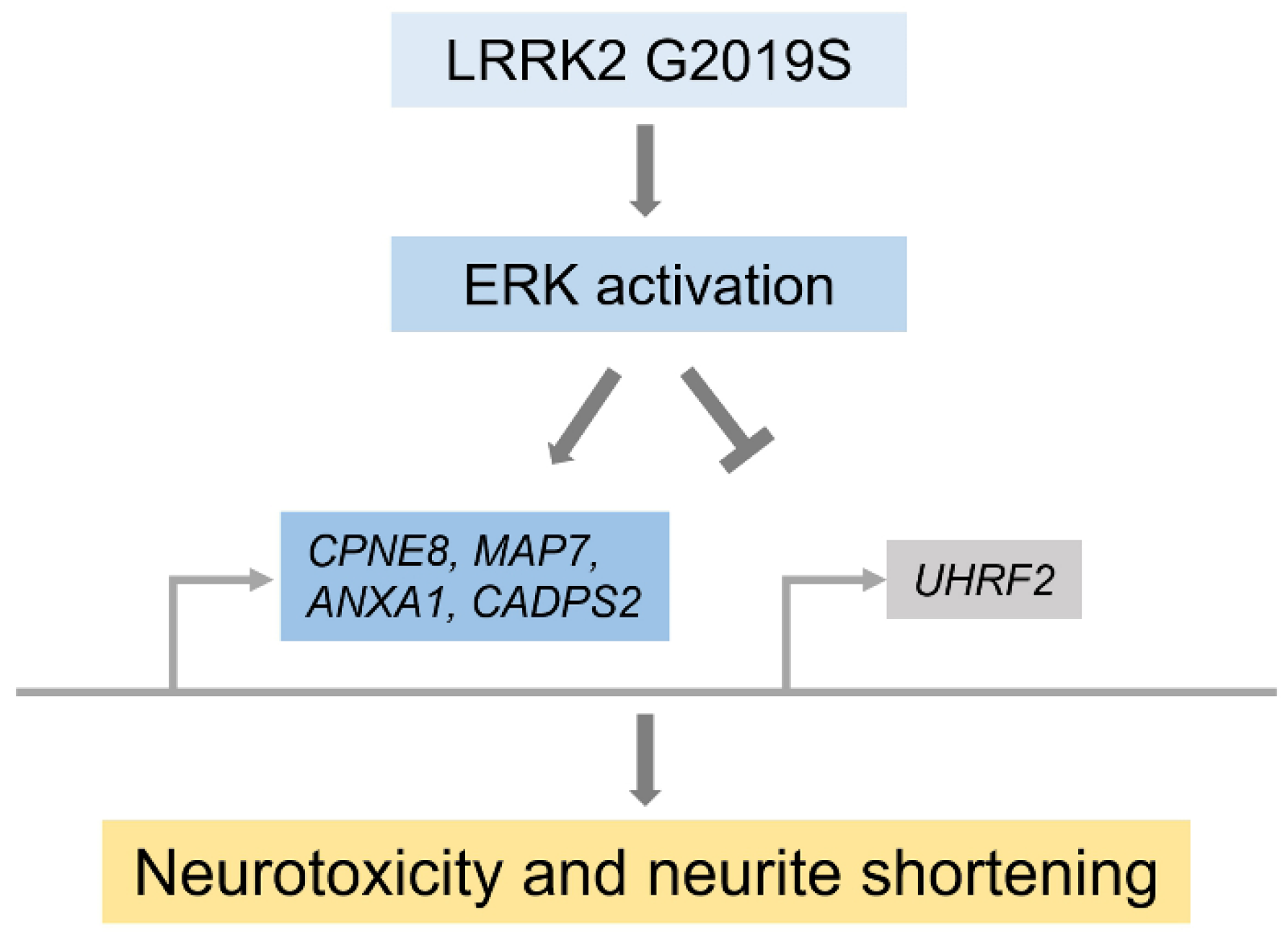 Biomolecules 12 01814 g002