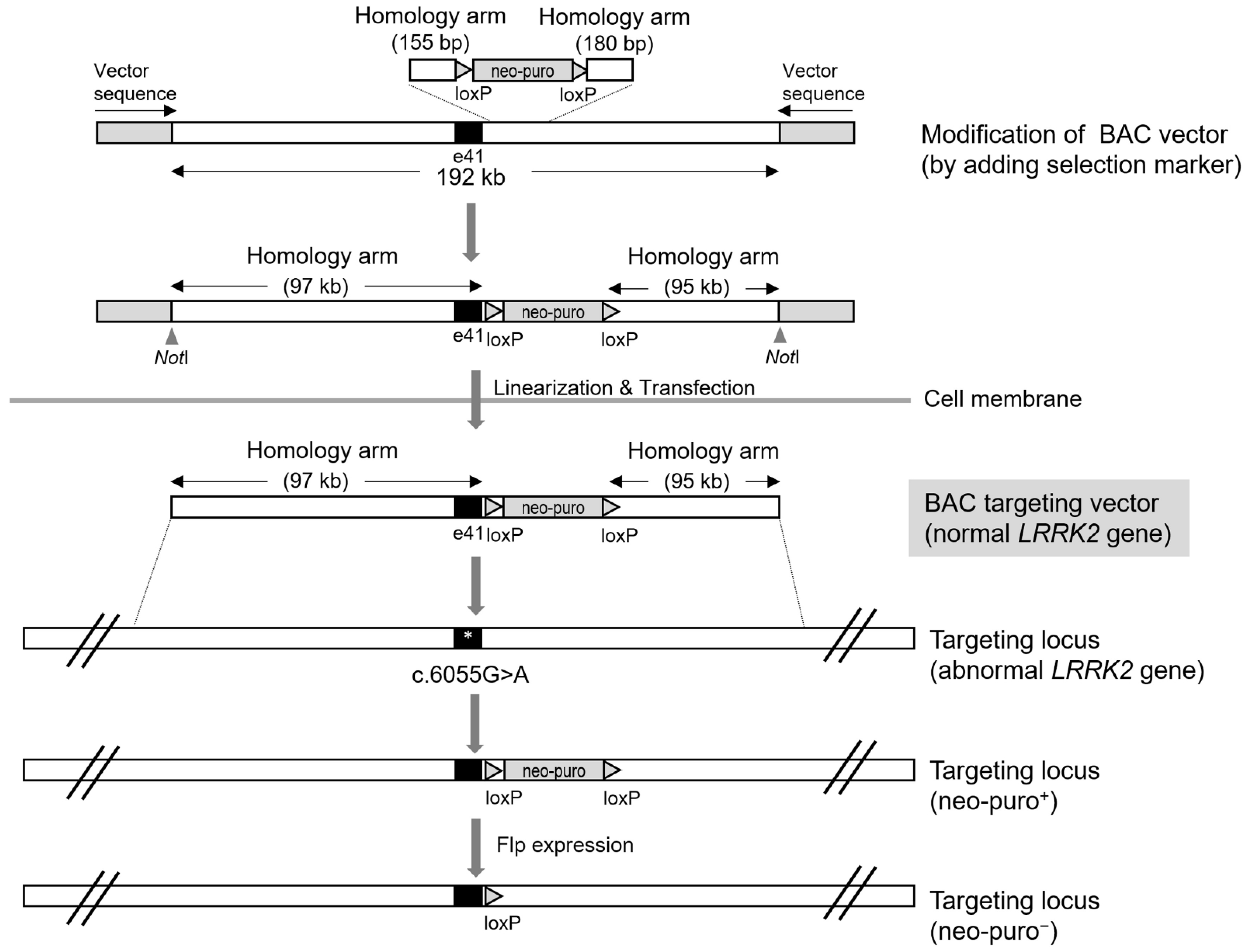 Biomolecules 12 01814 g004