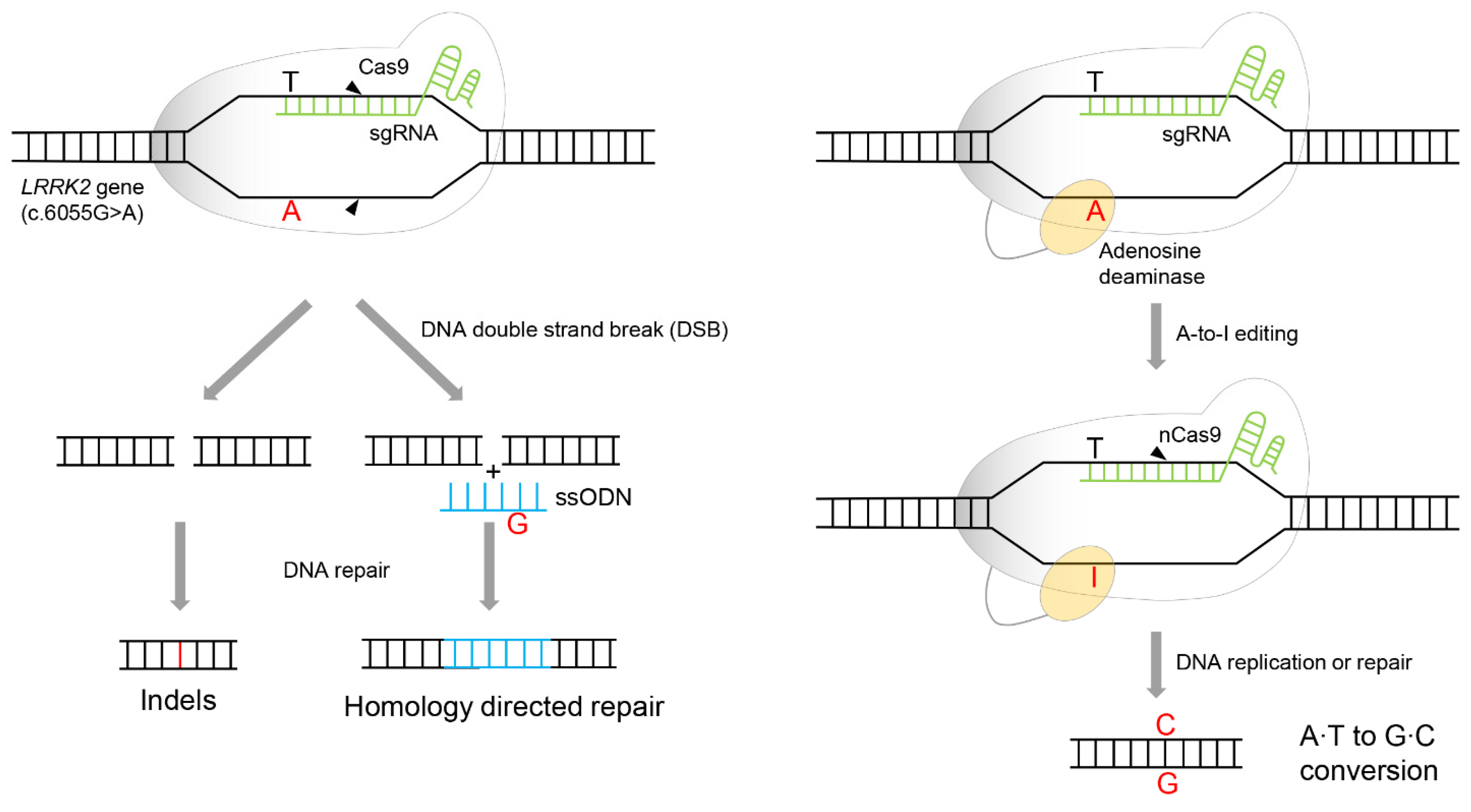 Biomolecules 12 01814 g006