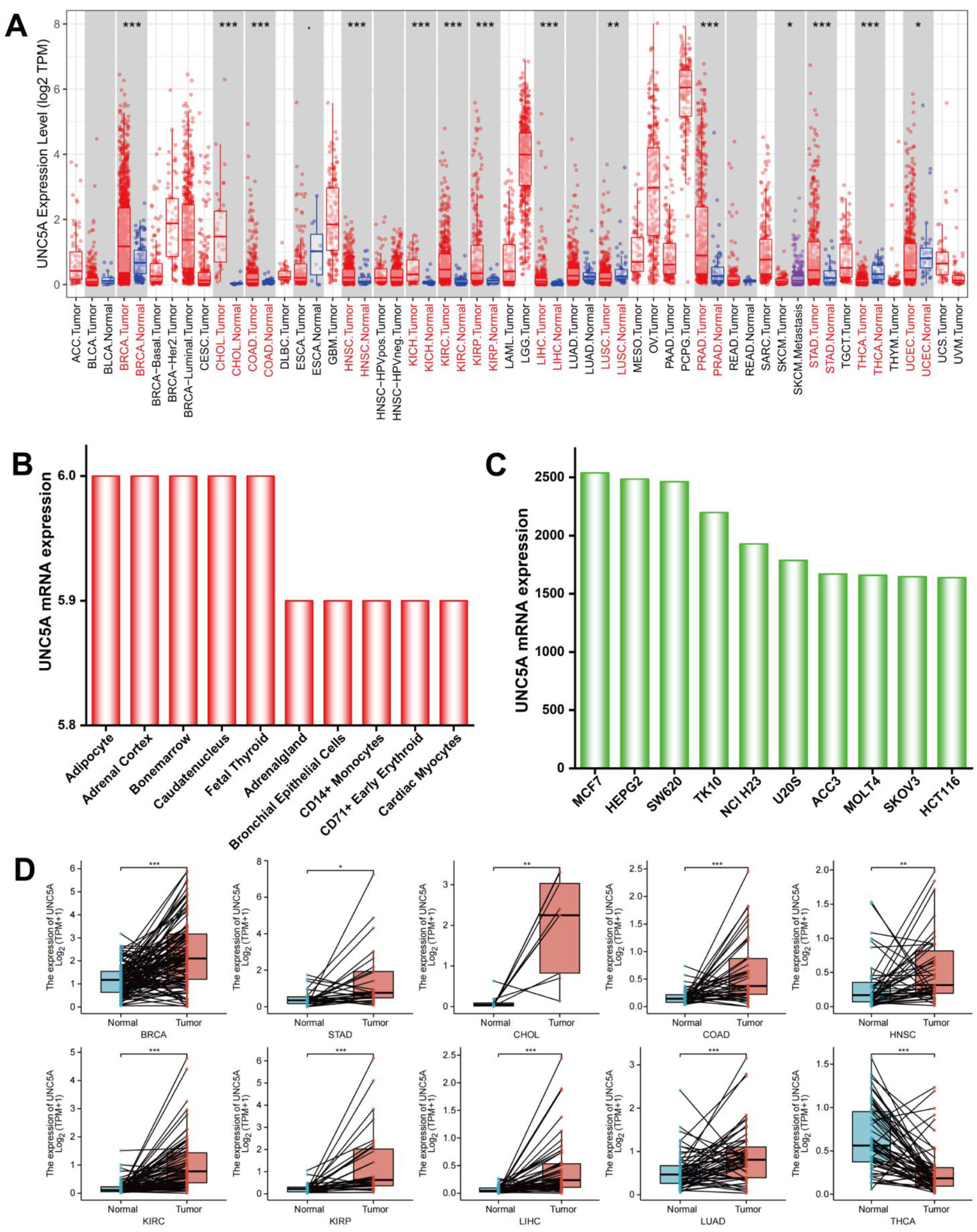 Biomolecules 12 01826 g001