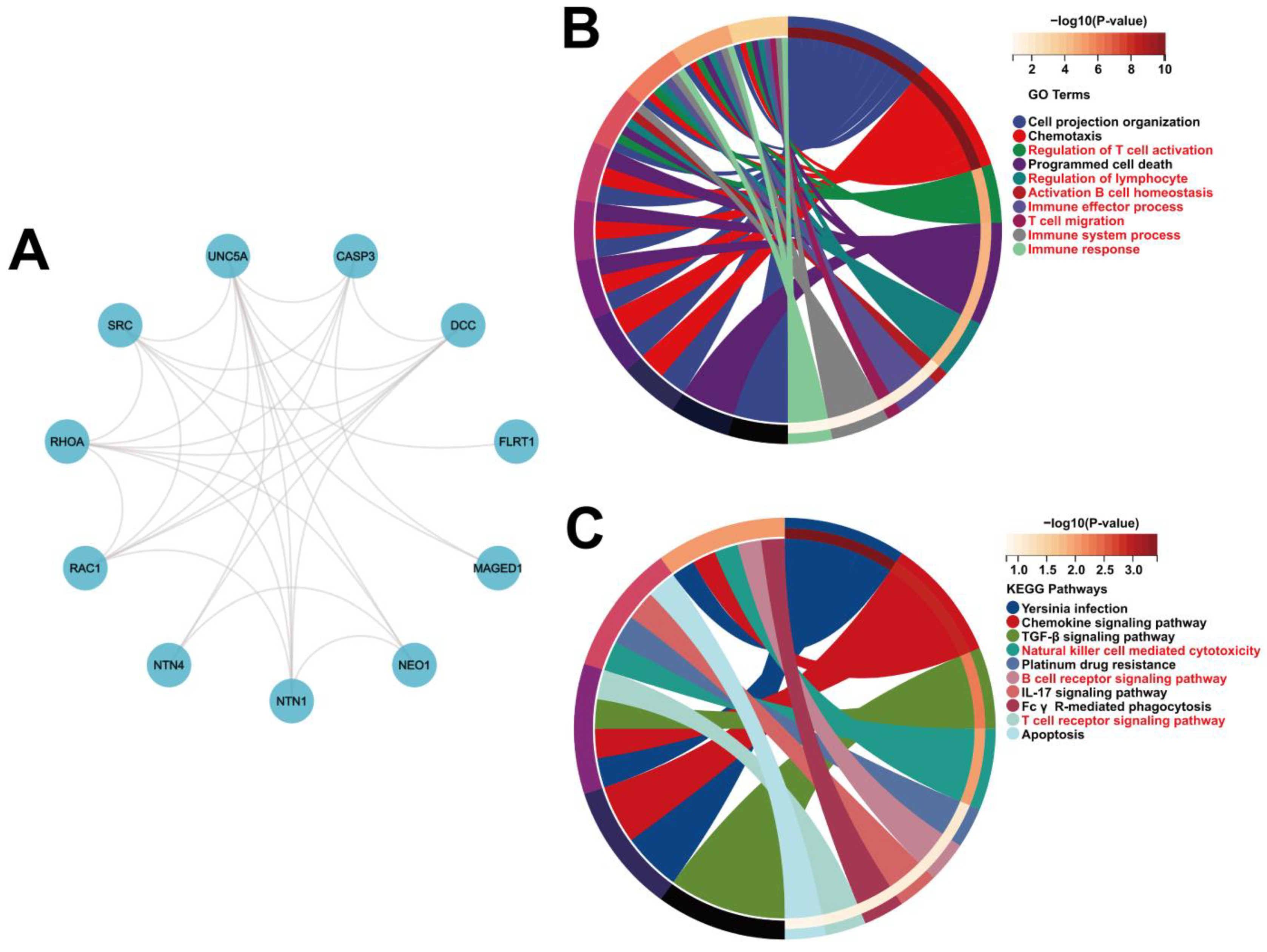 Biomolecules 12 01826 g007