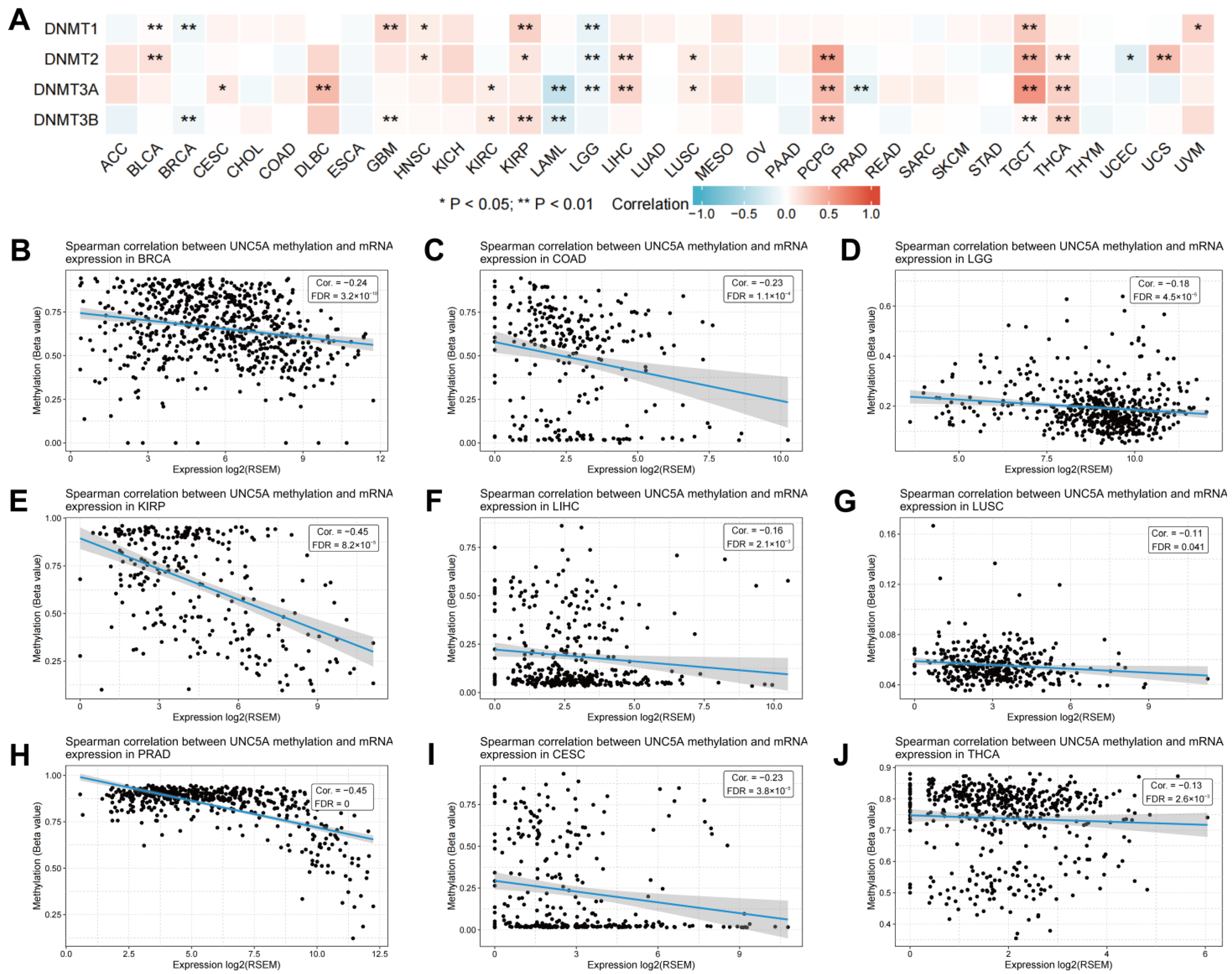 Biomolecules 12 01826 g011
