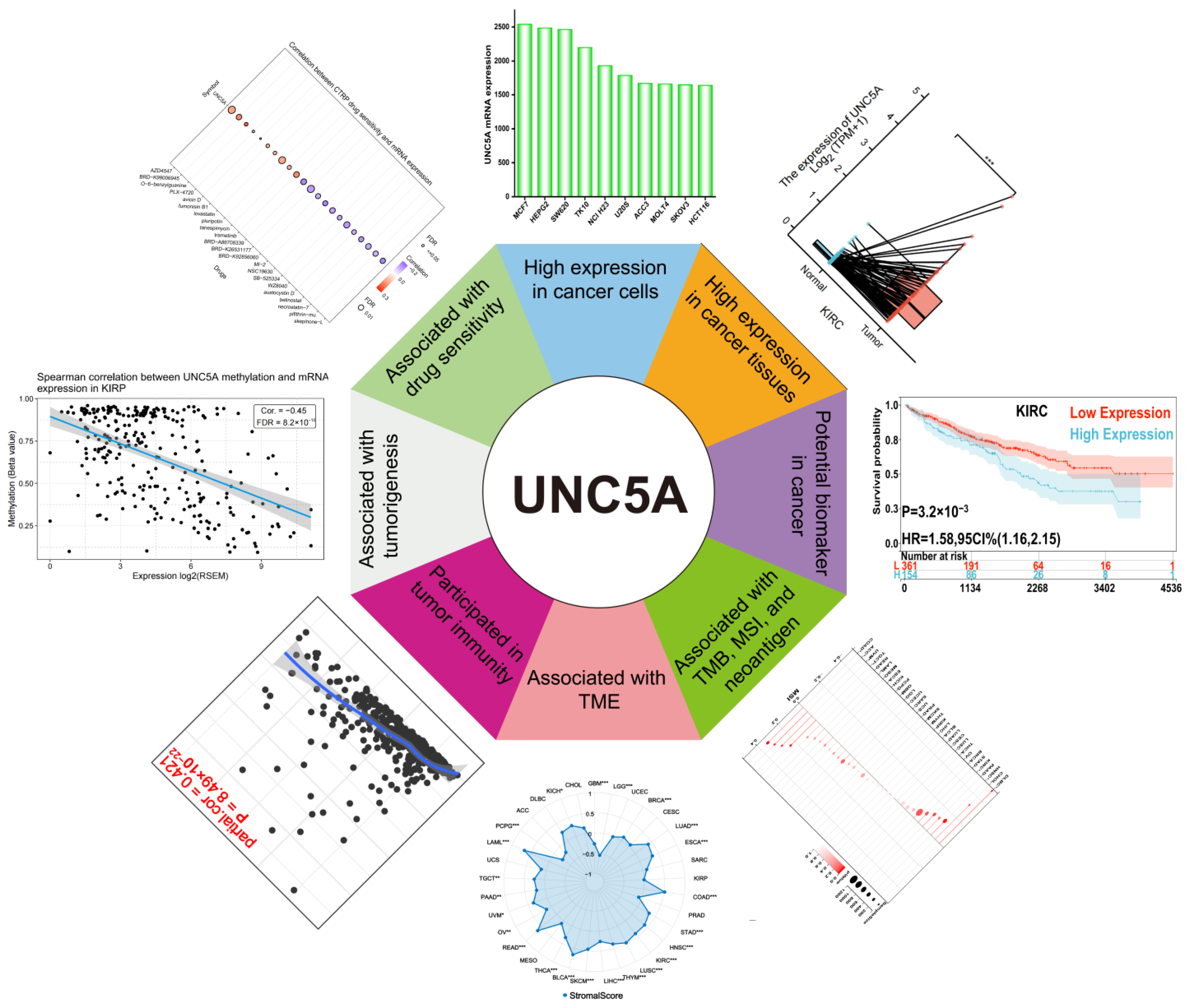Biomolecules 12 01826 g013