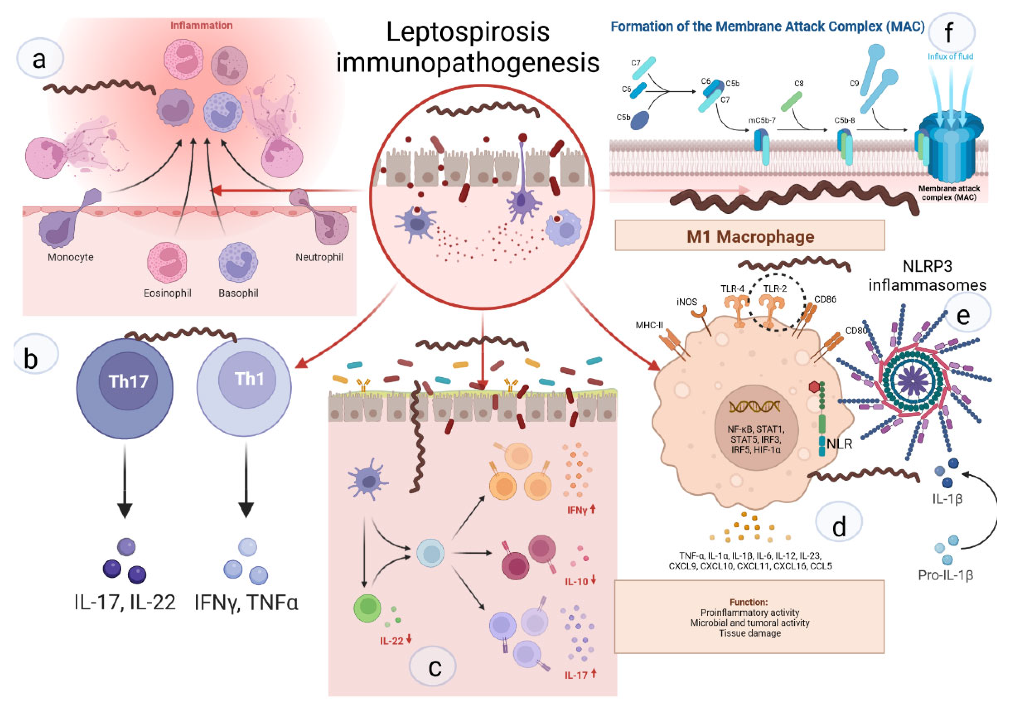 Biomolecules 12 01830 g002
