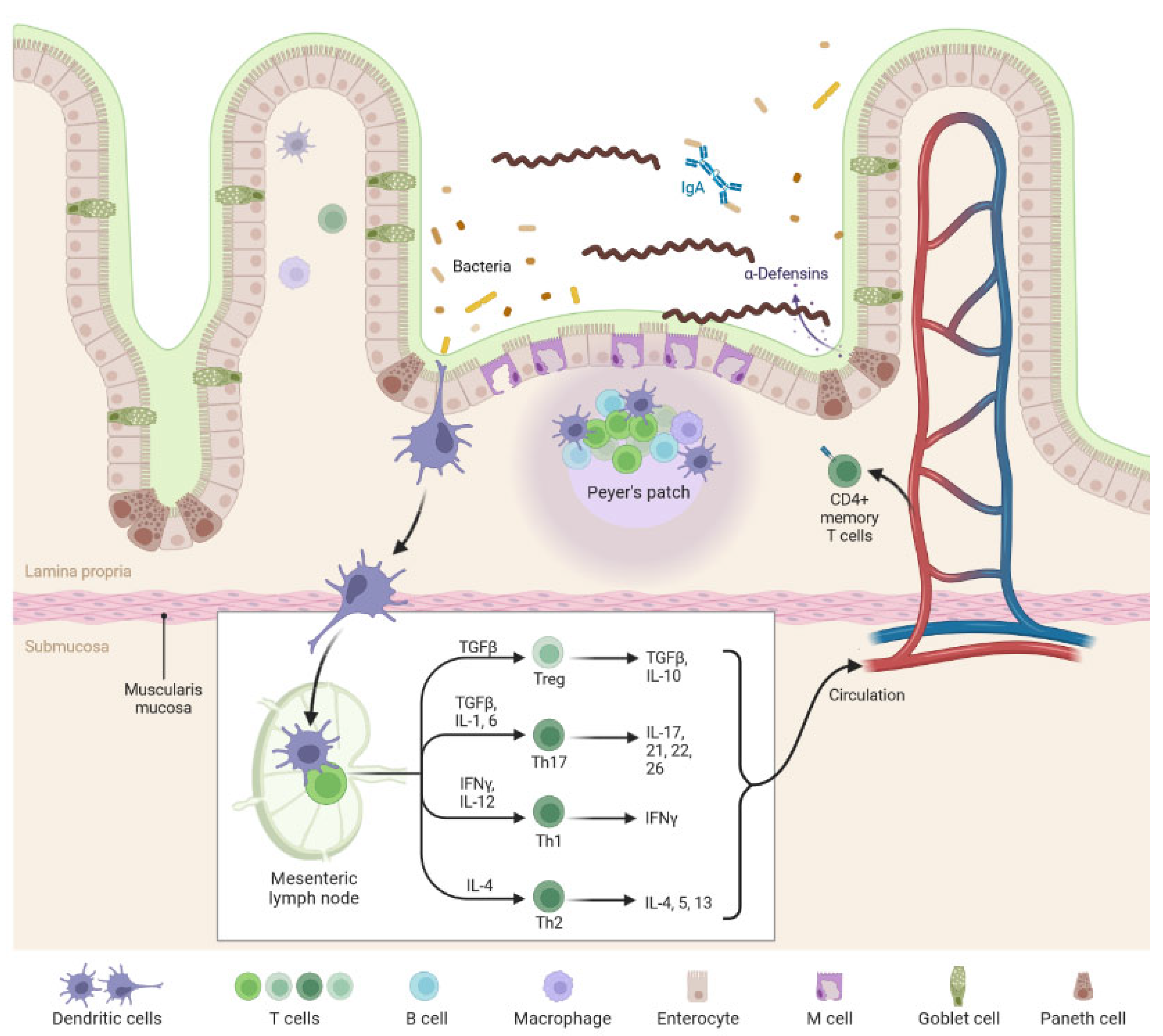 Biomolecules 12 01830 g004