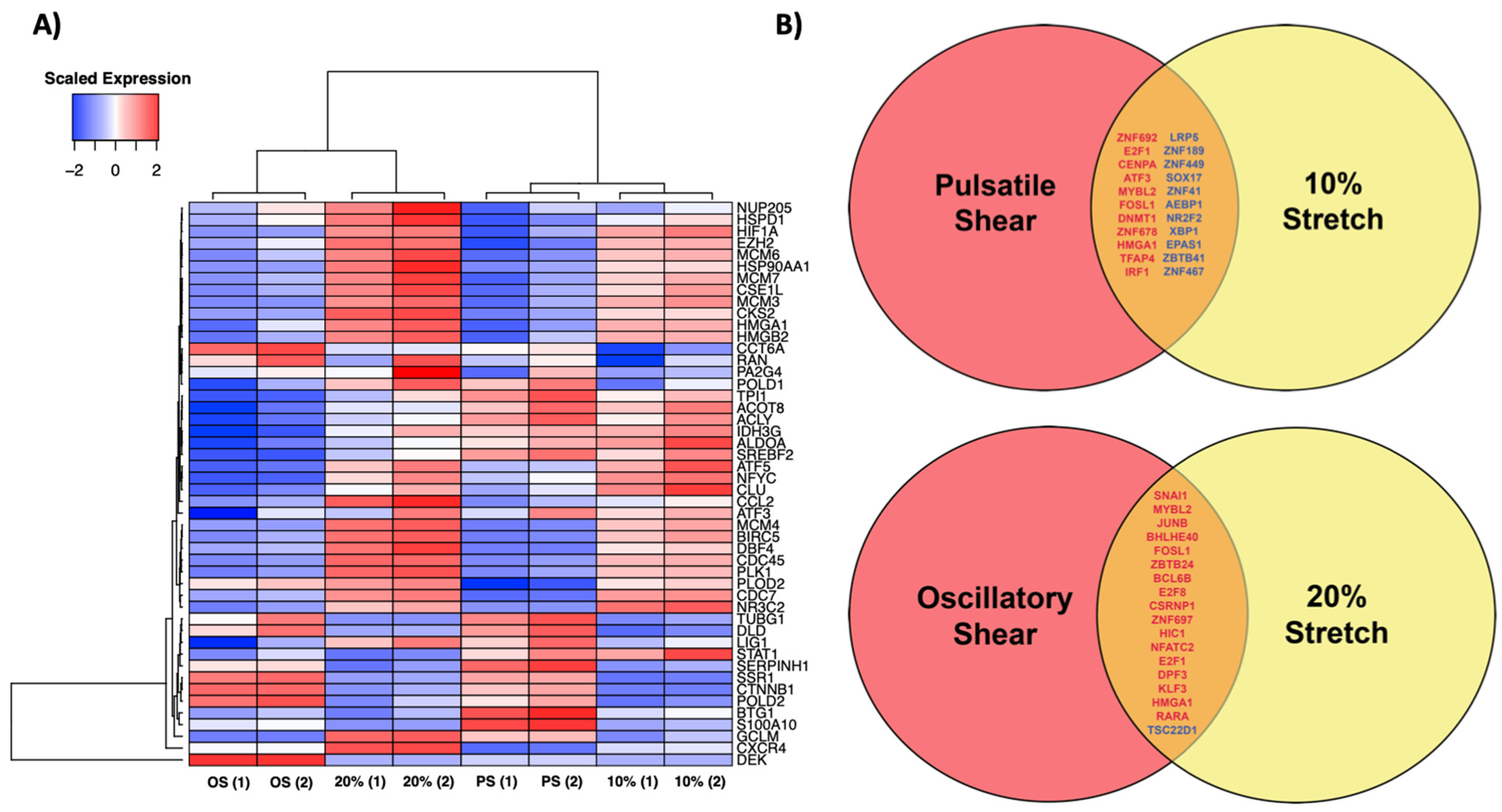Biomolecules 12 01837 g006