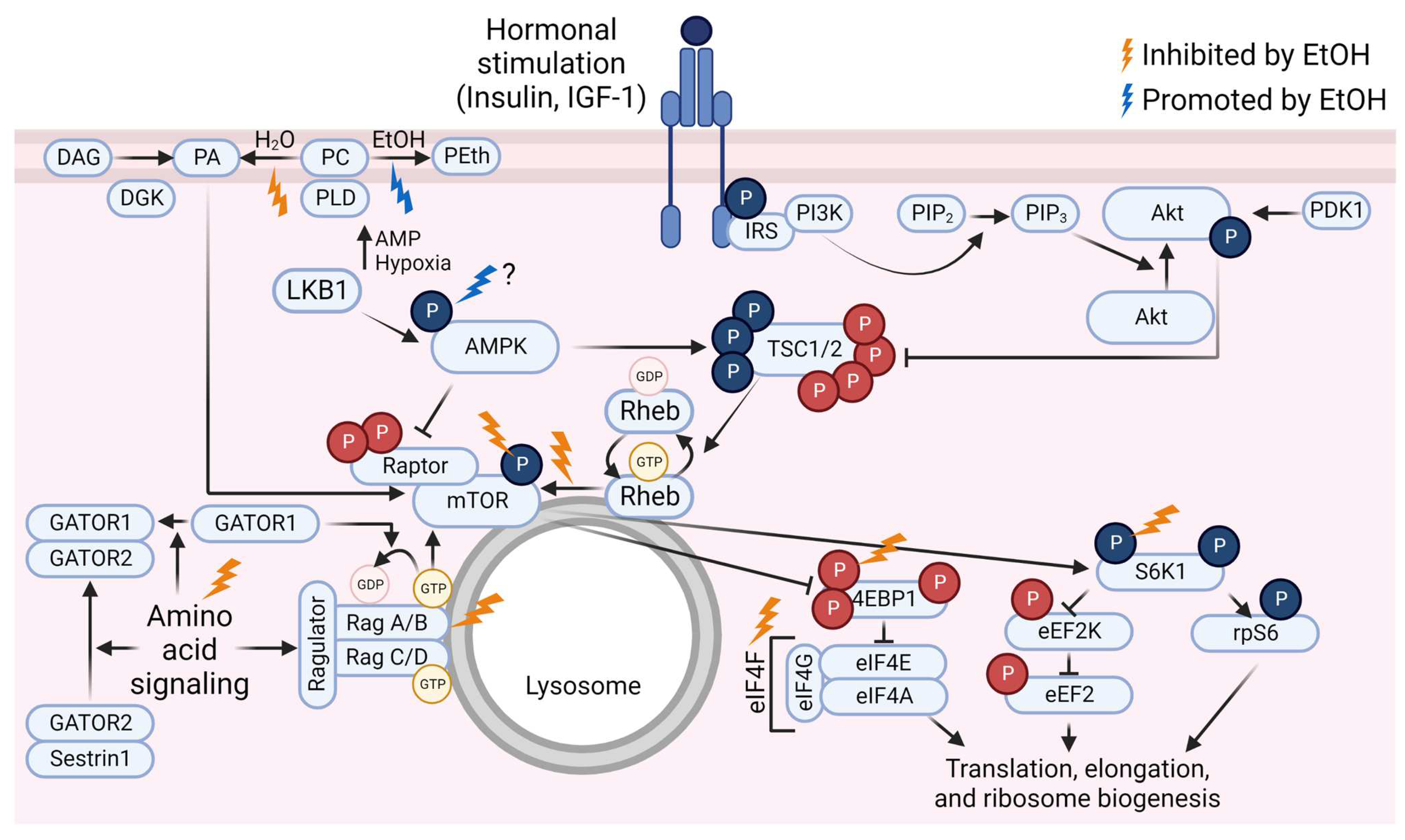 Biomolecules 13 00002 g001