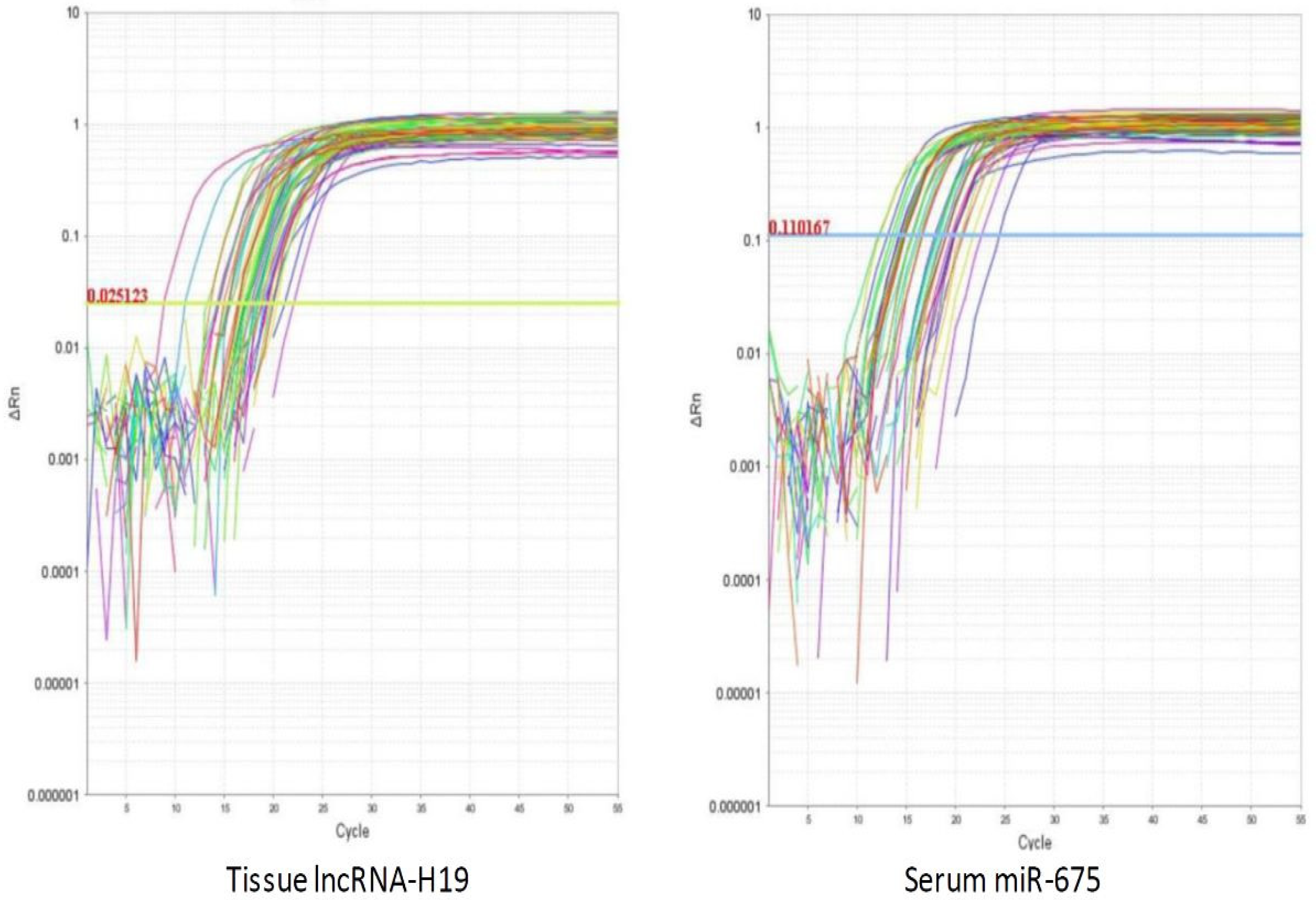 Biomolecules 13 00003 g001
