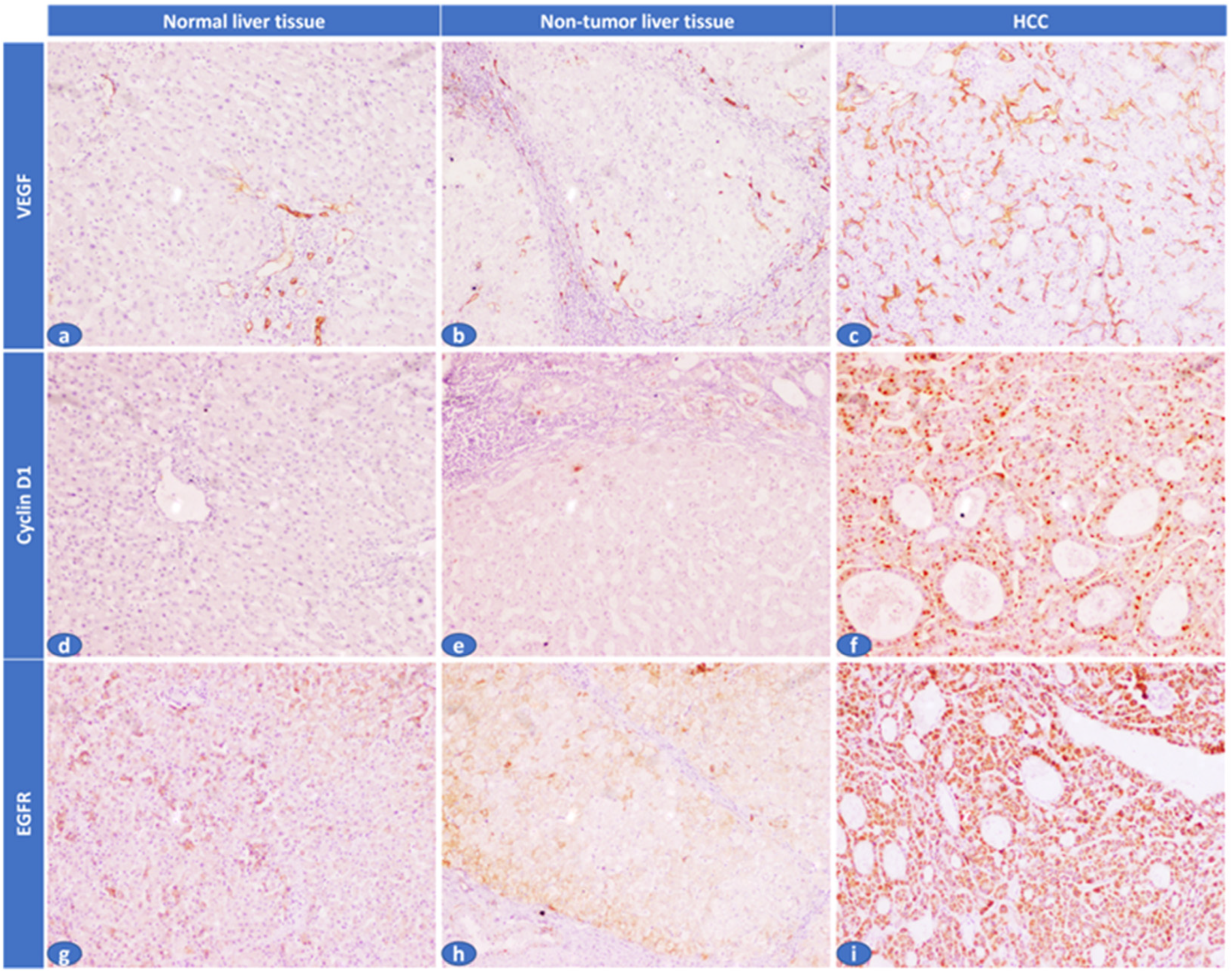 Biomolecules 13 00003 g002