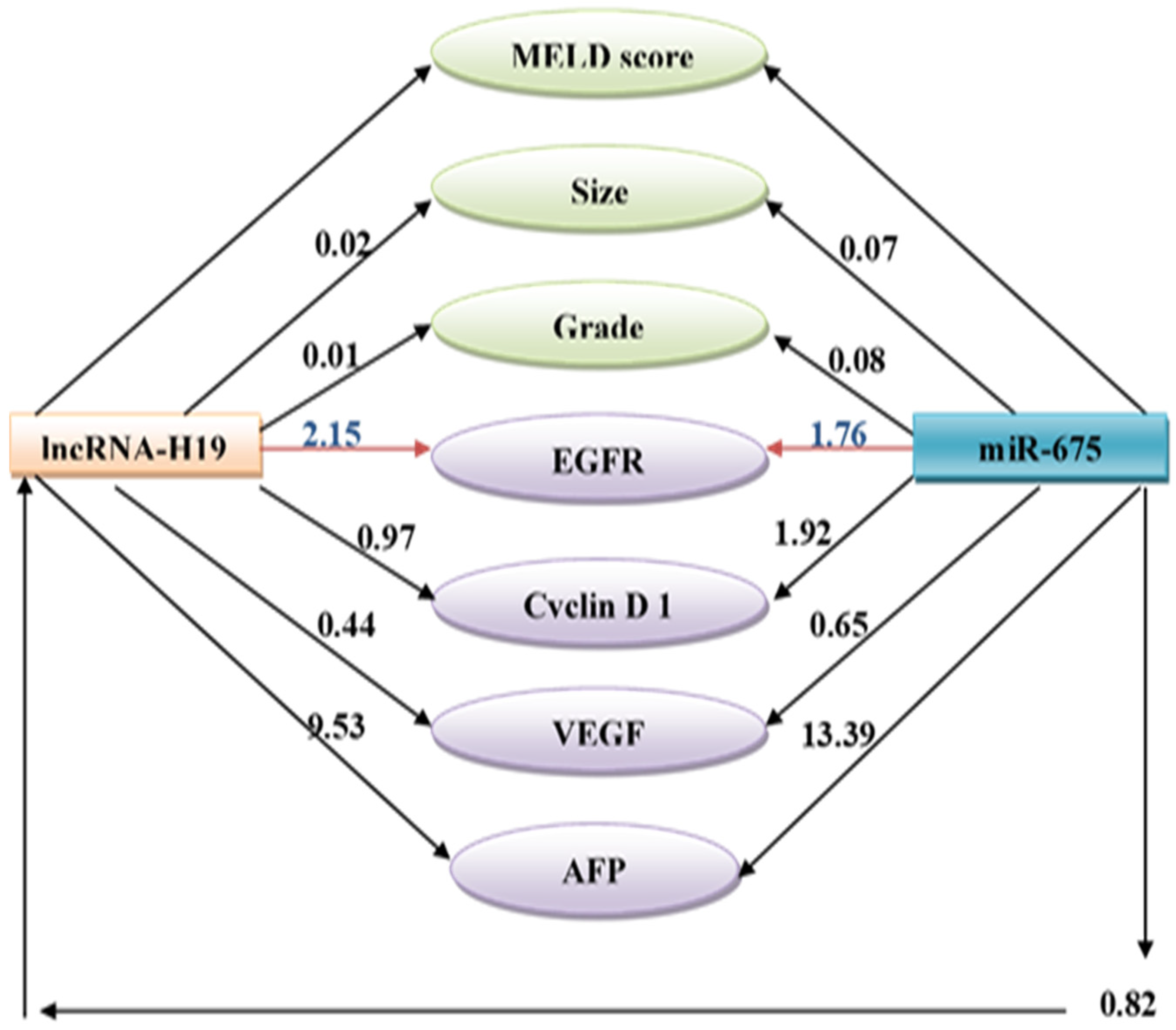 Biomolecules 13 00003 g003