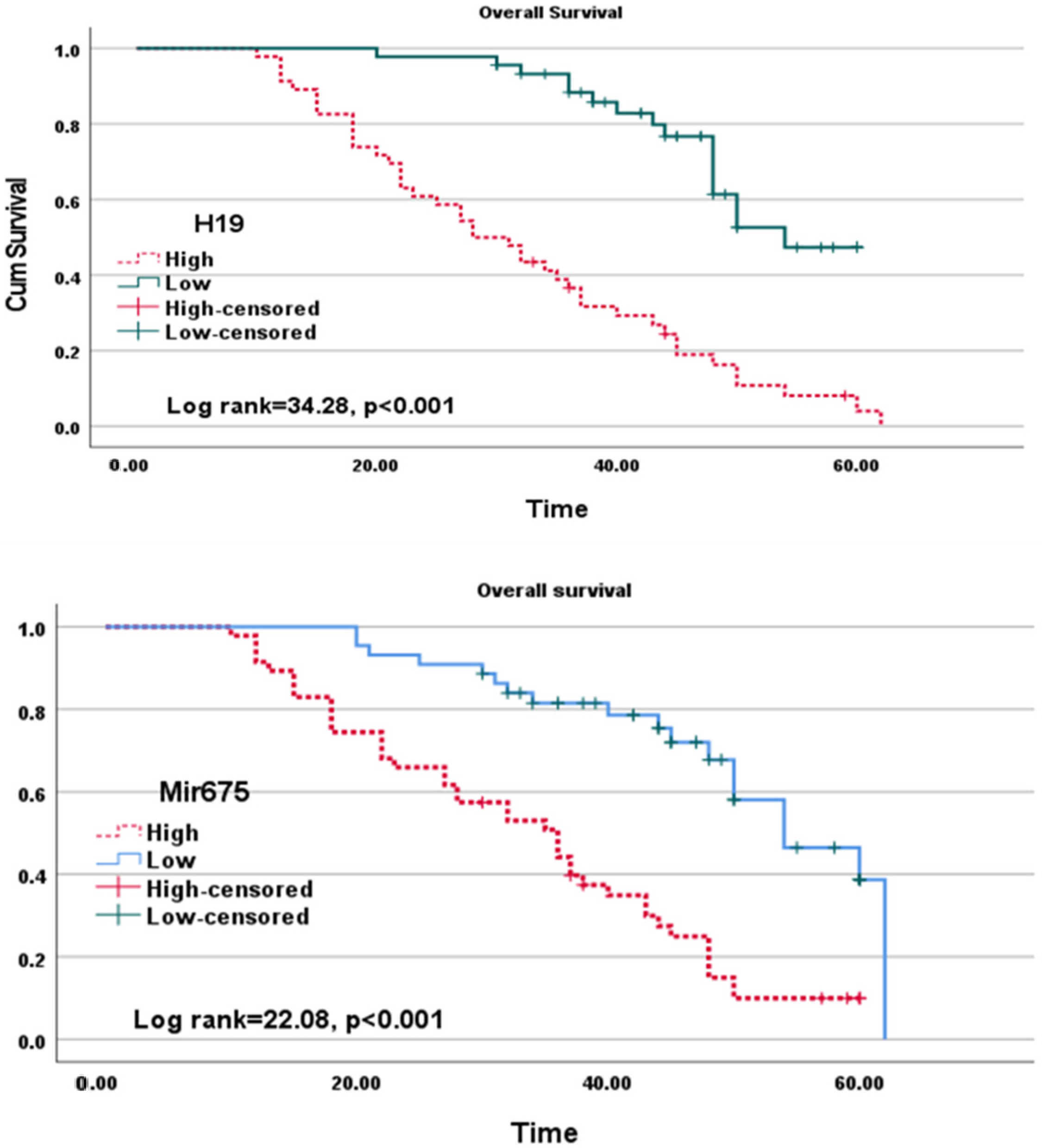 Biomolecules 13 00003 g005