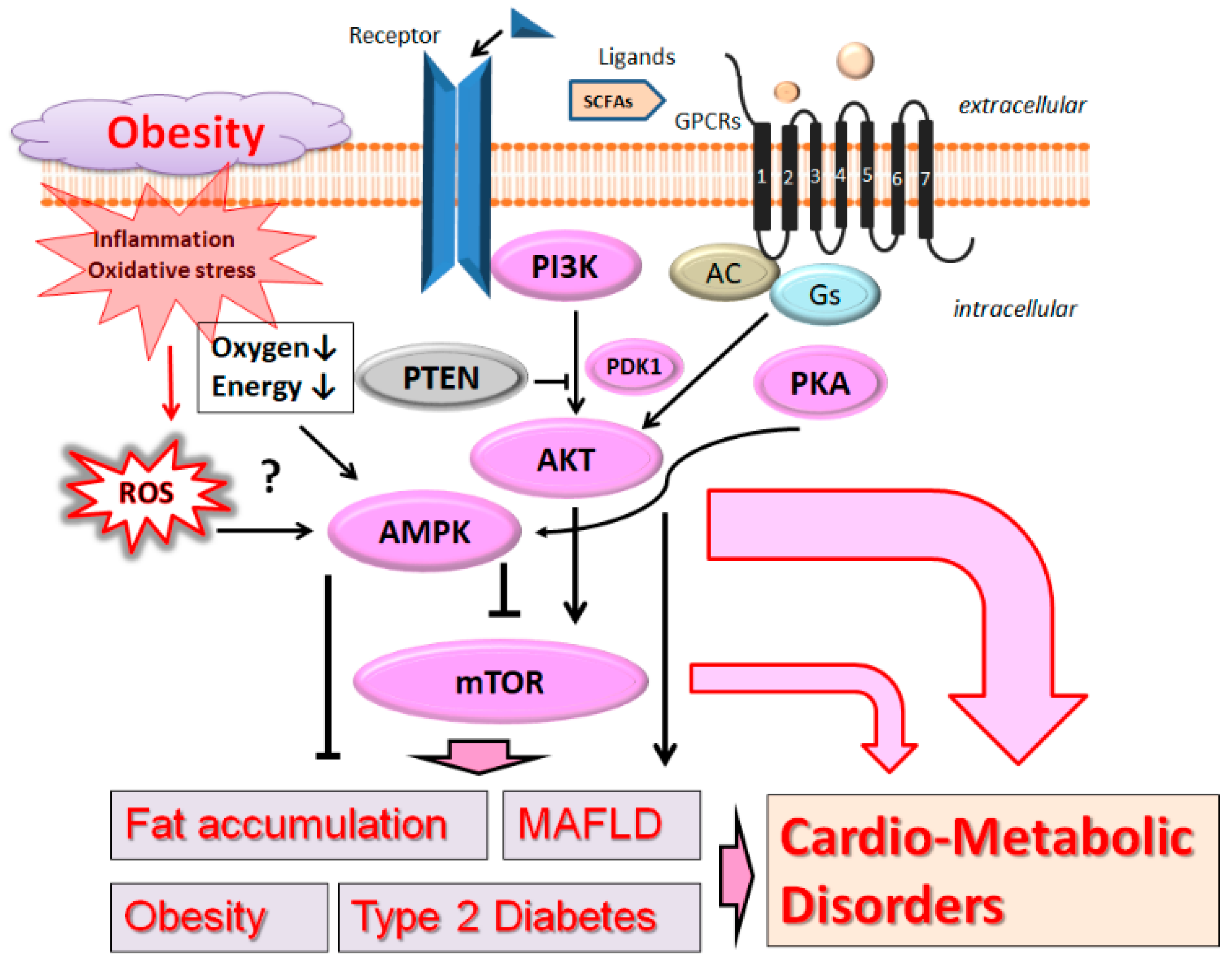 Biomolecules 13 00010 g001