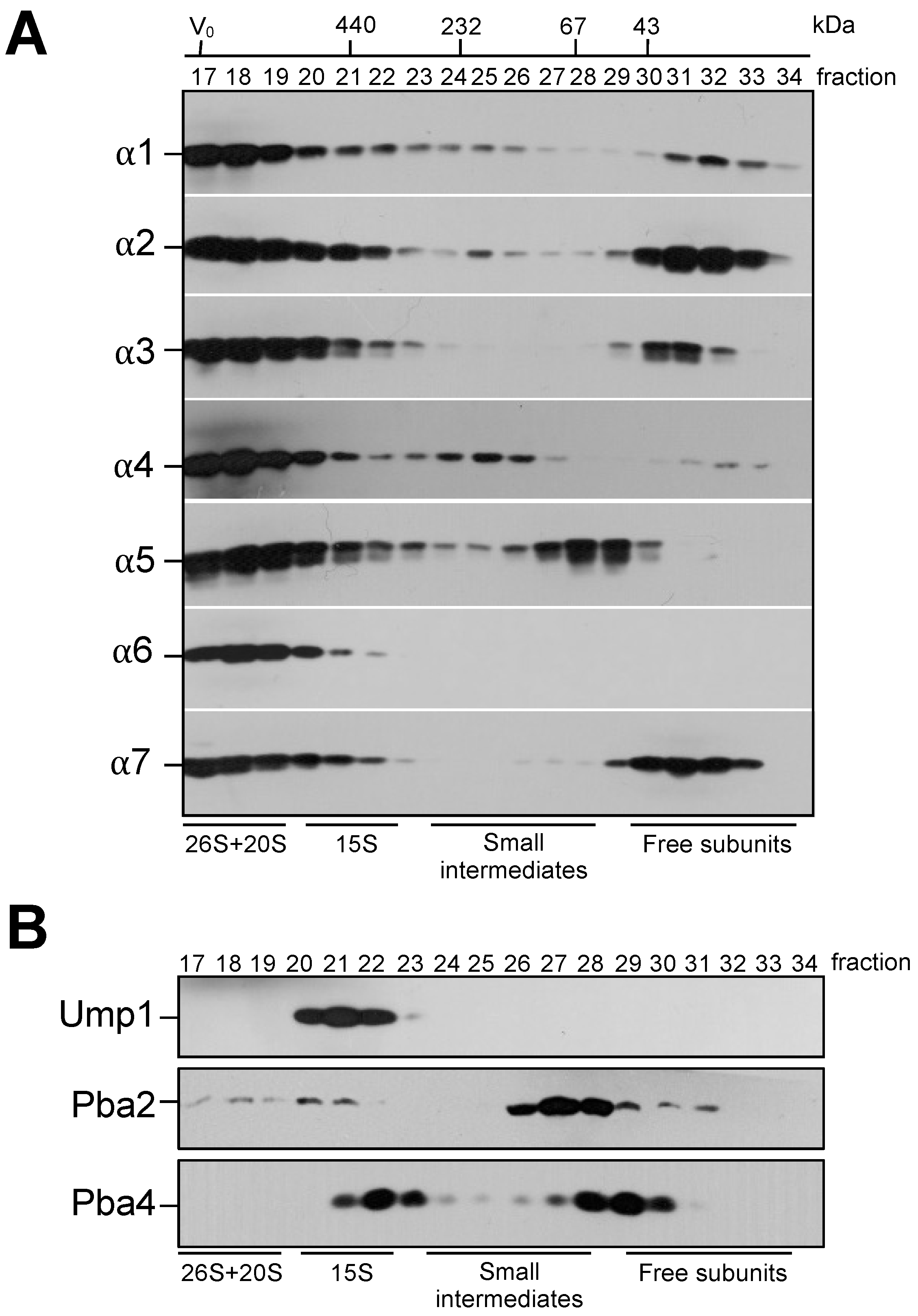Biomolecules 13 00011 g001