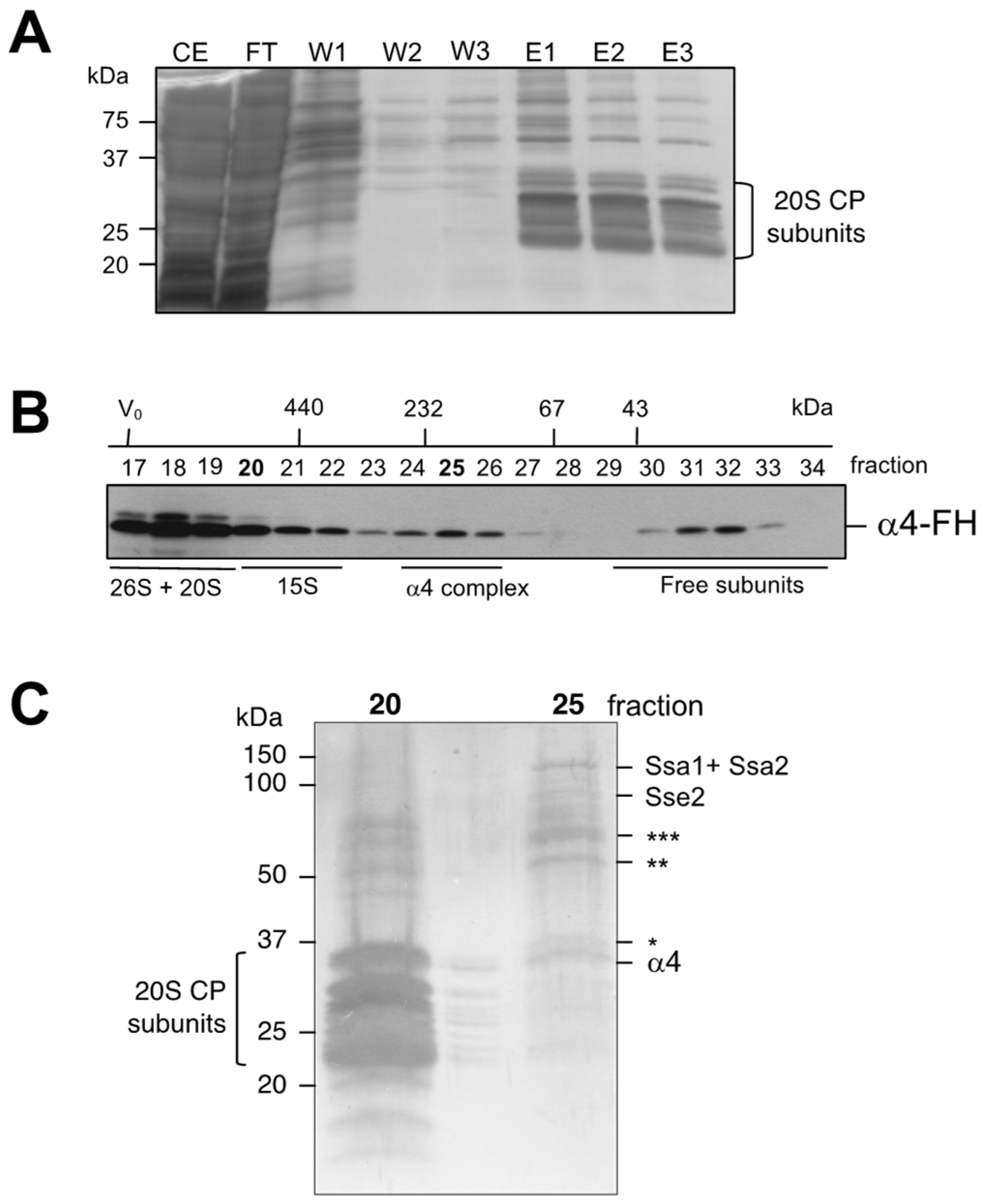 Biomolecules 13 00011 g002