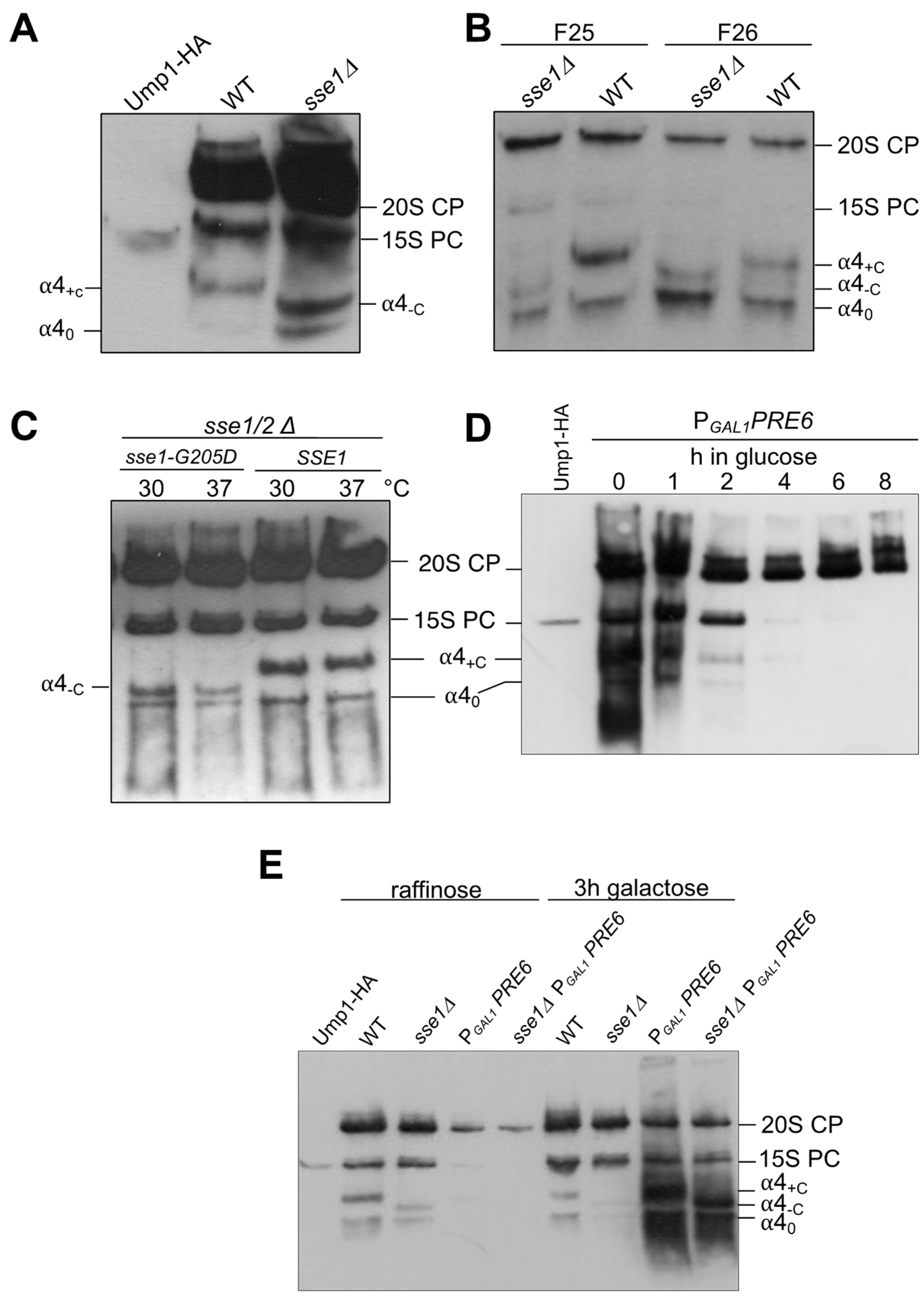 Biomolecules 13 00011 g003