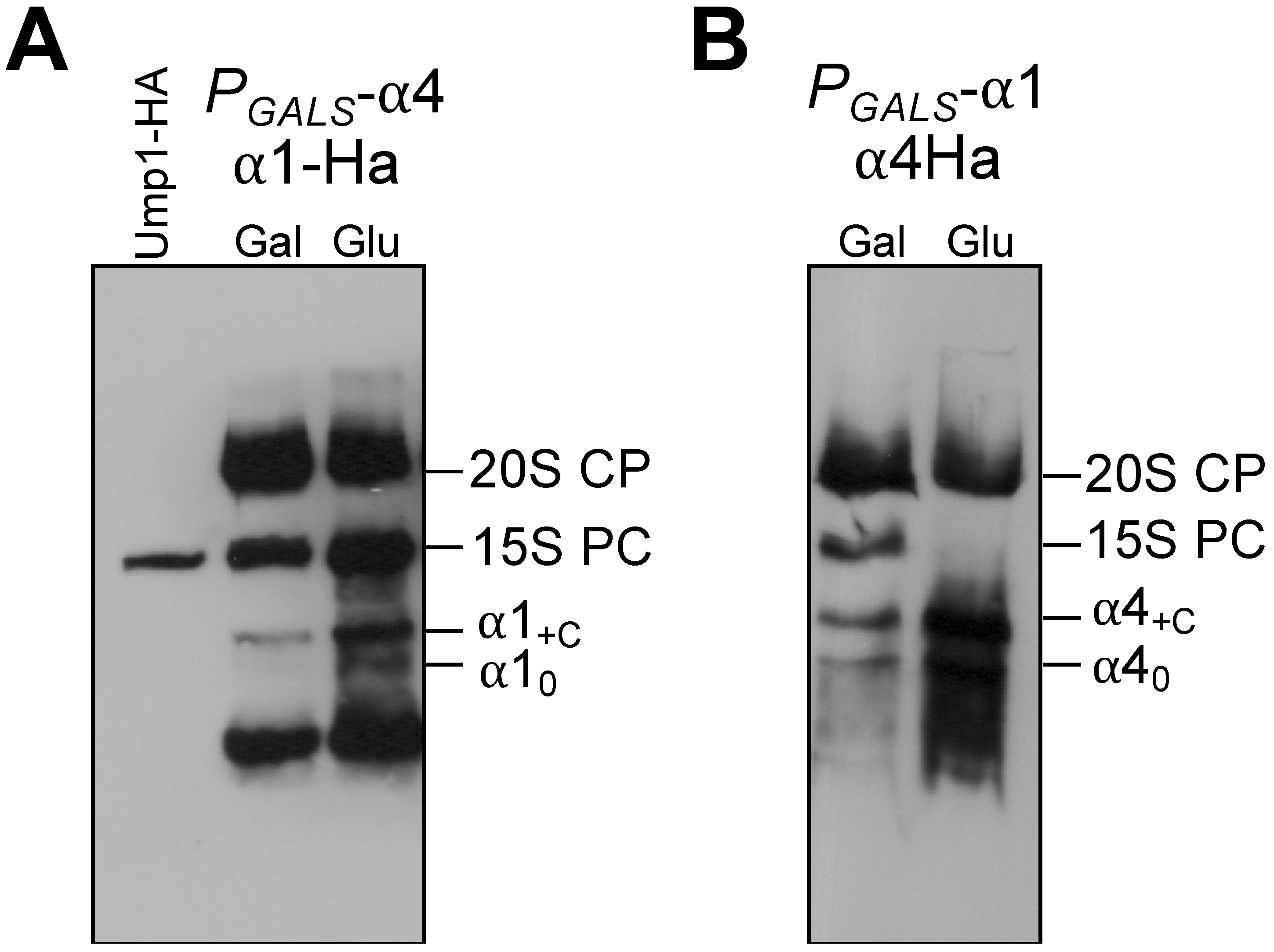 Biomolecules 13 00011 g005
