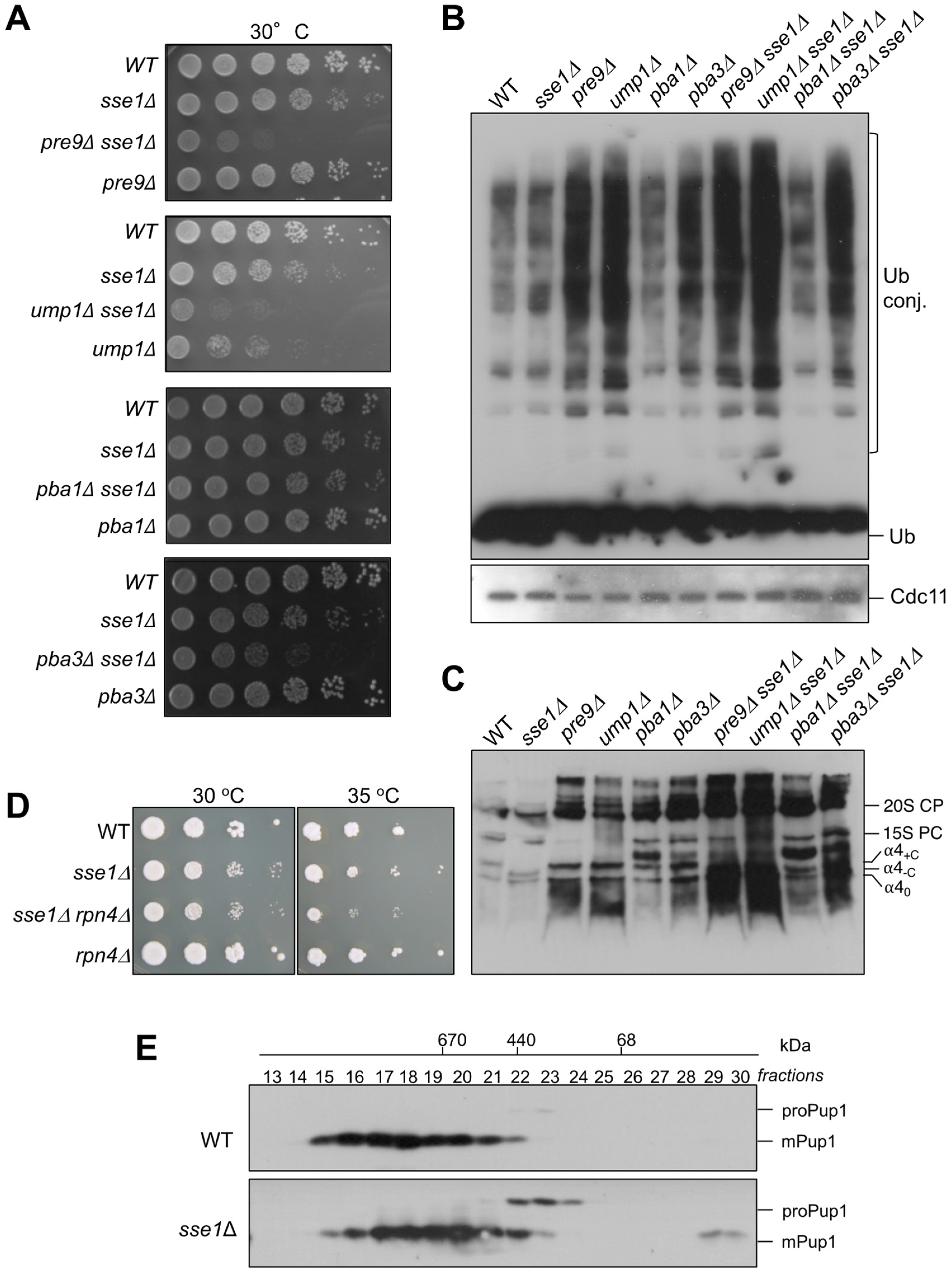 Biomolecules 13 00011 g006