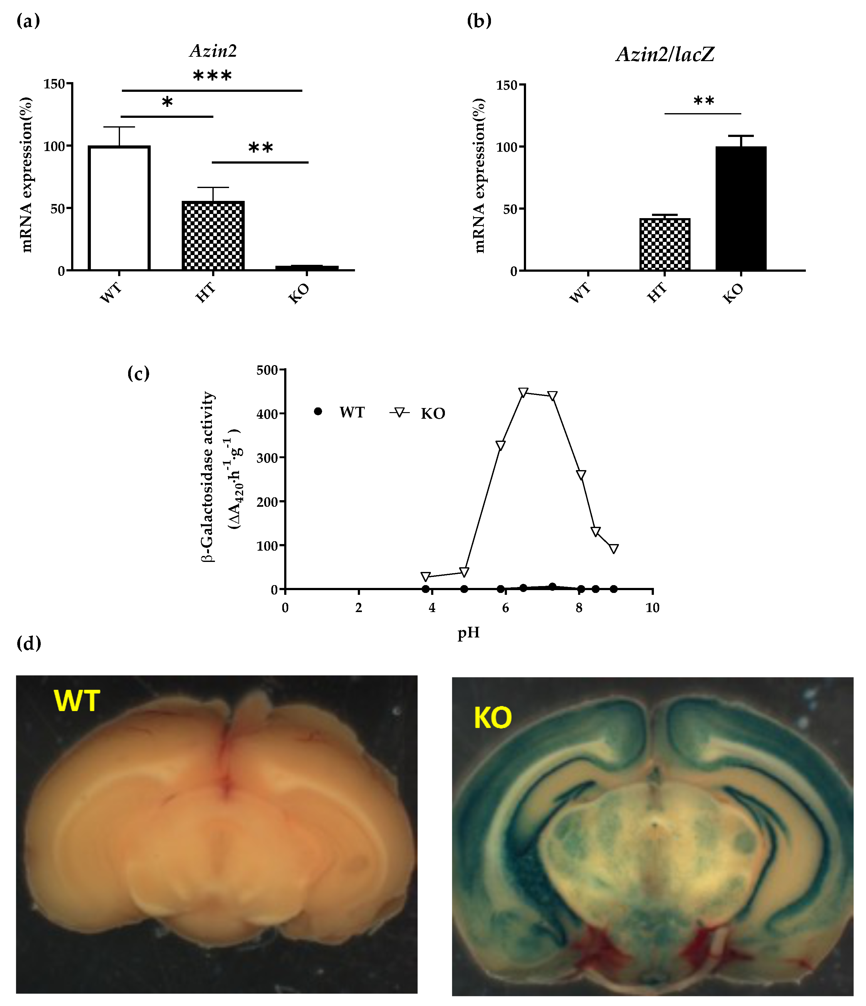 Biomolecules 13 00014 g002