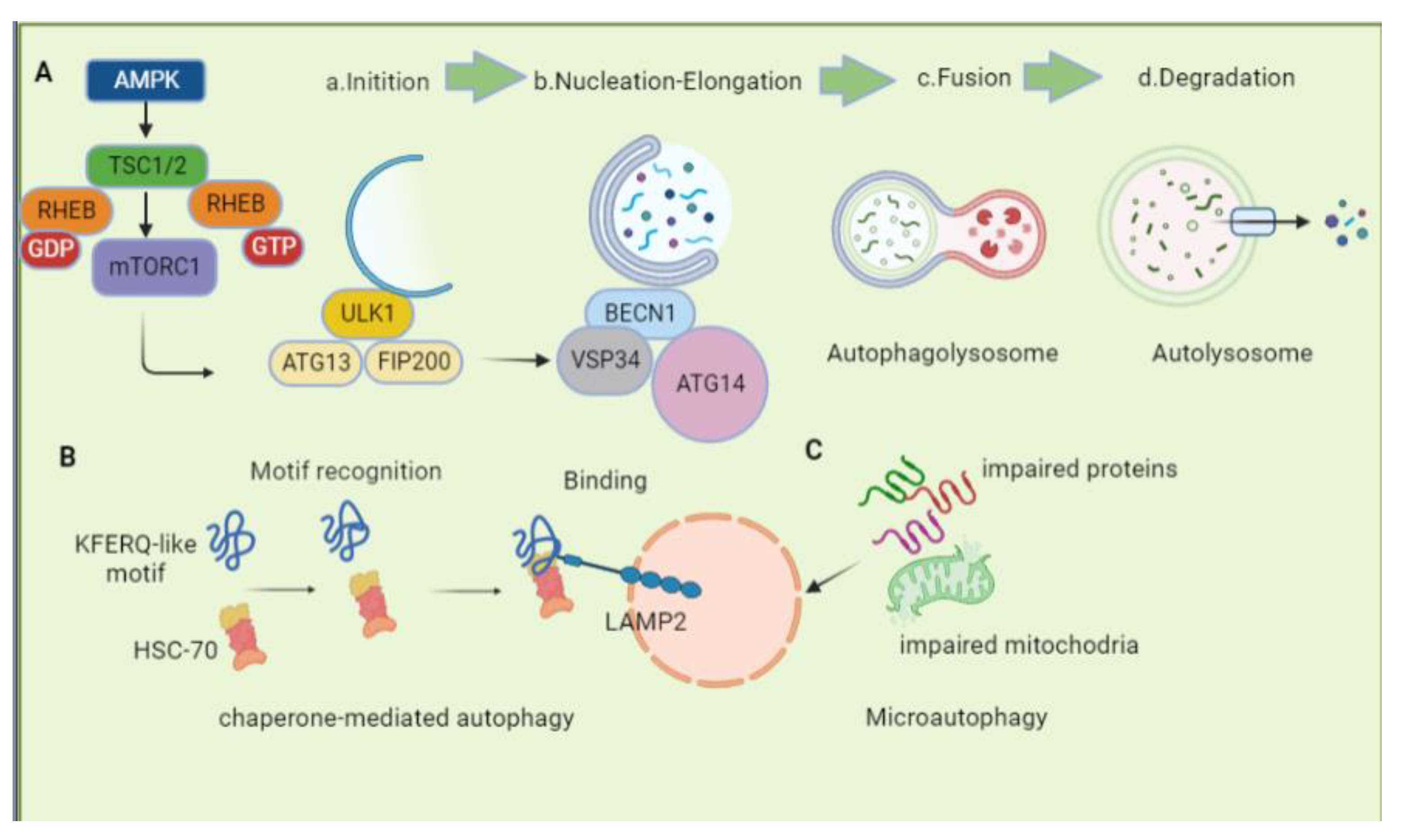 Biomolecules 13 00015 g001