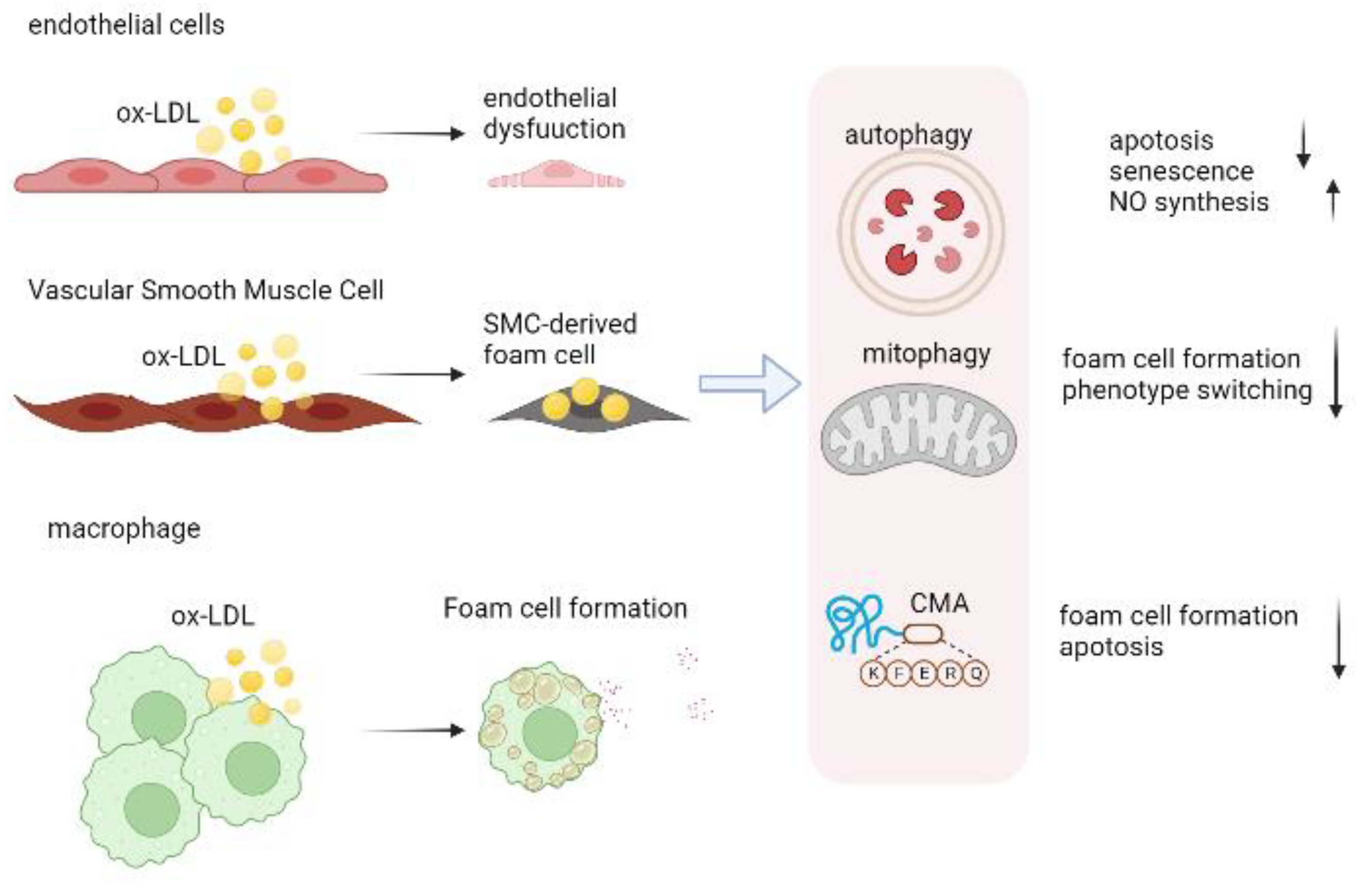 Biomolecules 13 00015 g003