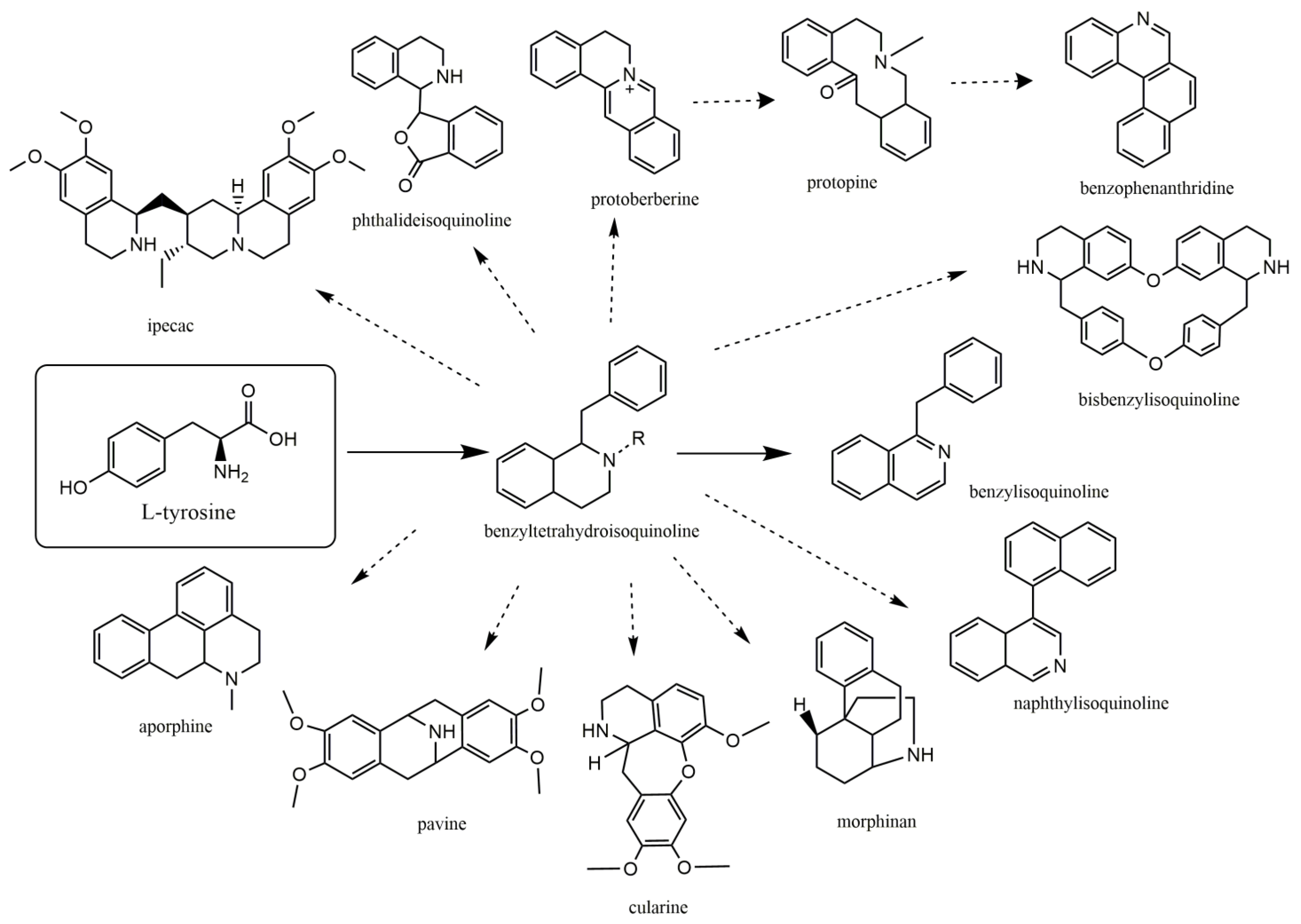 Biomolecules 13 00017 g001