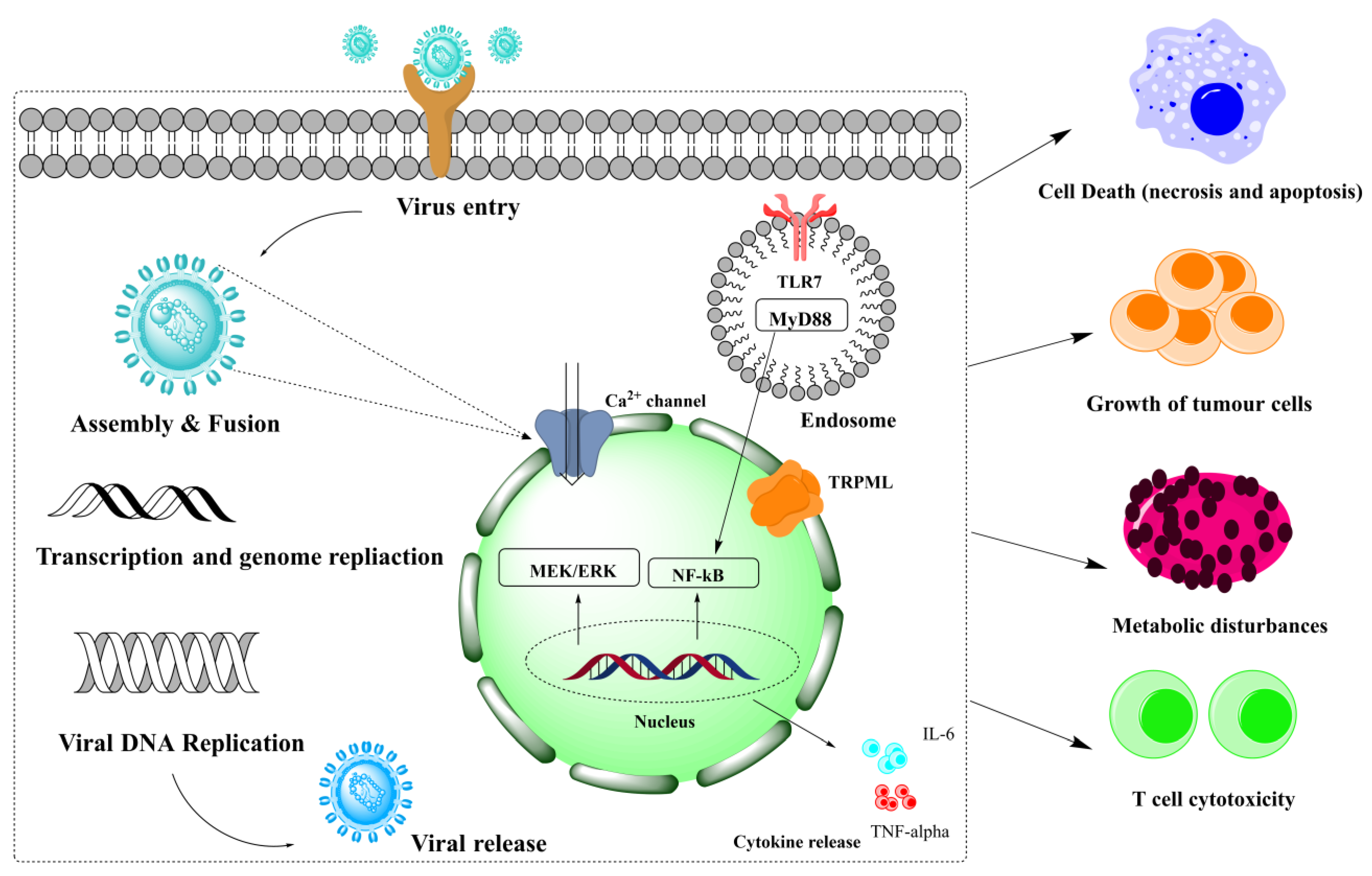 Biomolecules 13 00017 g002