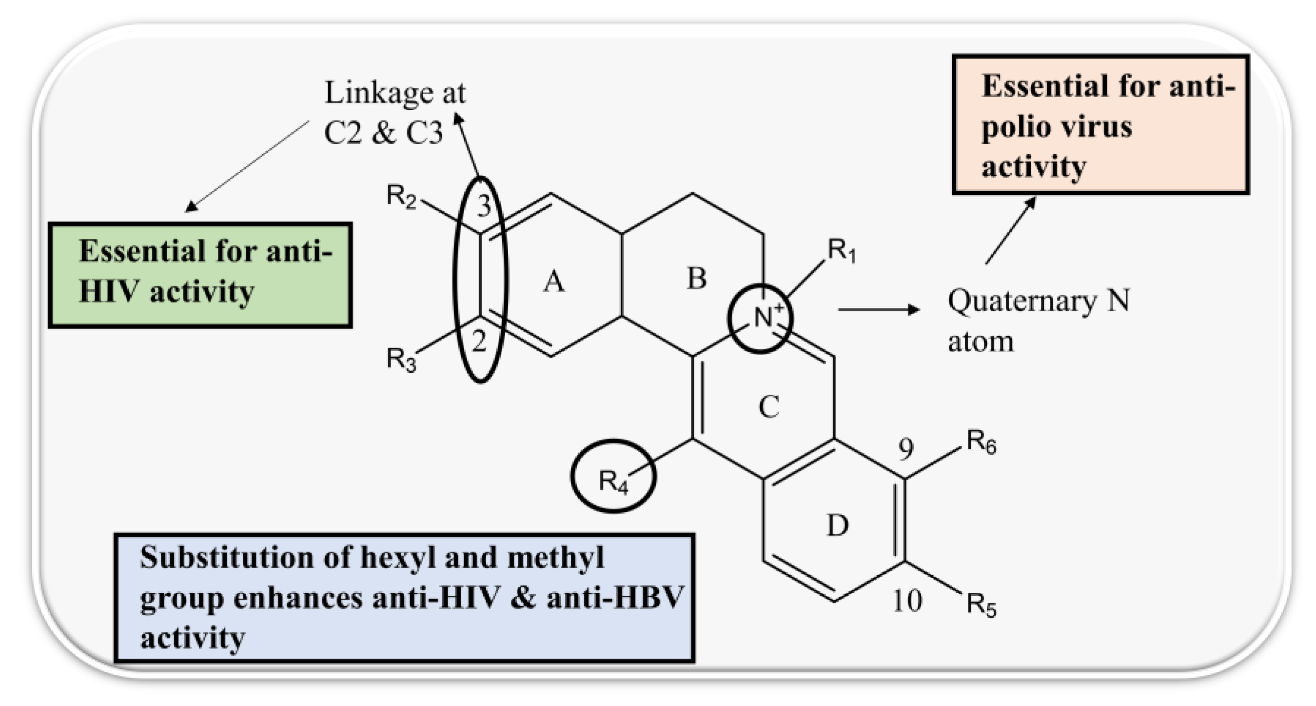 Biomolecules 13 00017 g003