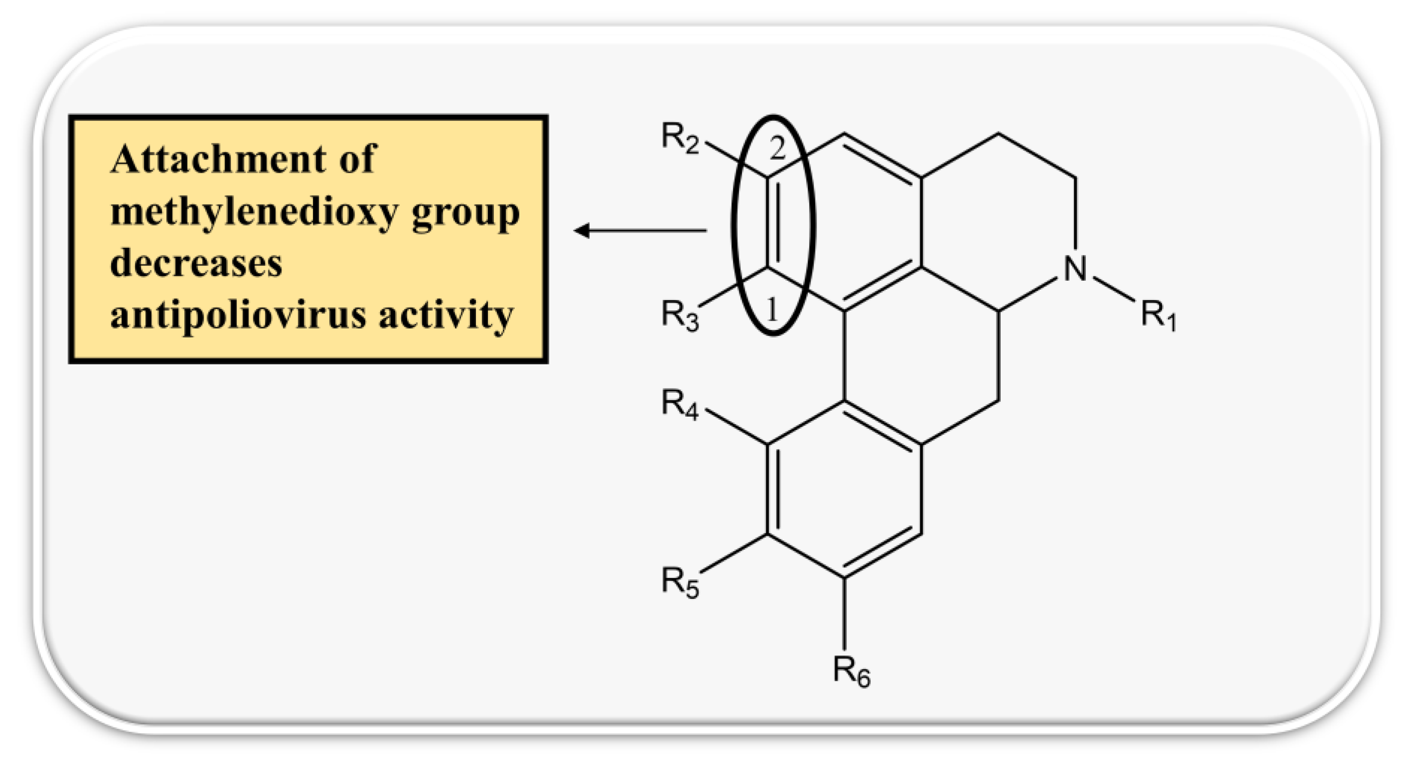 Biomolecules 13 00017 g004