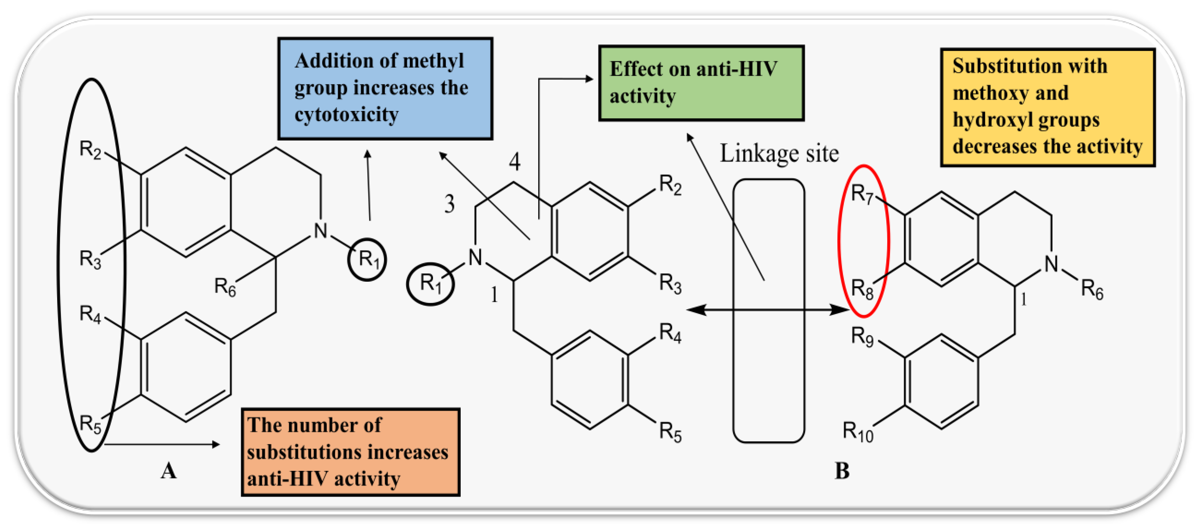 Biomolecules 13 00017 g006
