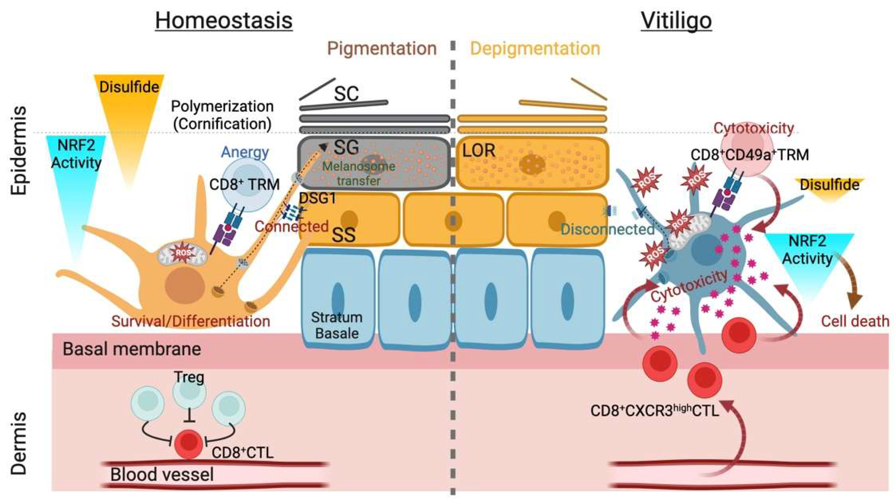 Biomolecules 13 00020 g002