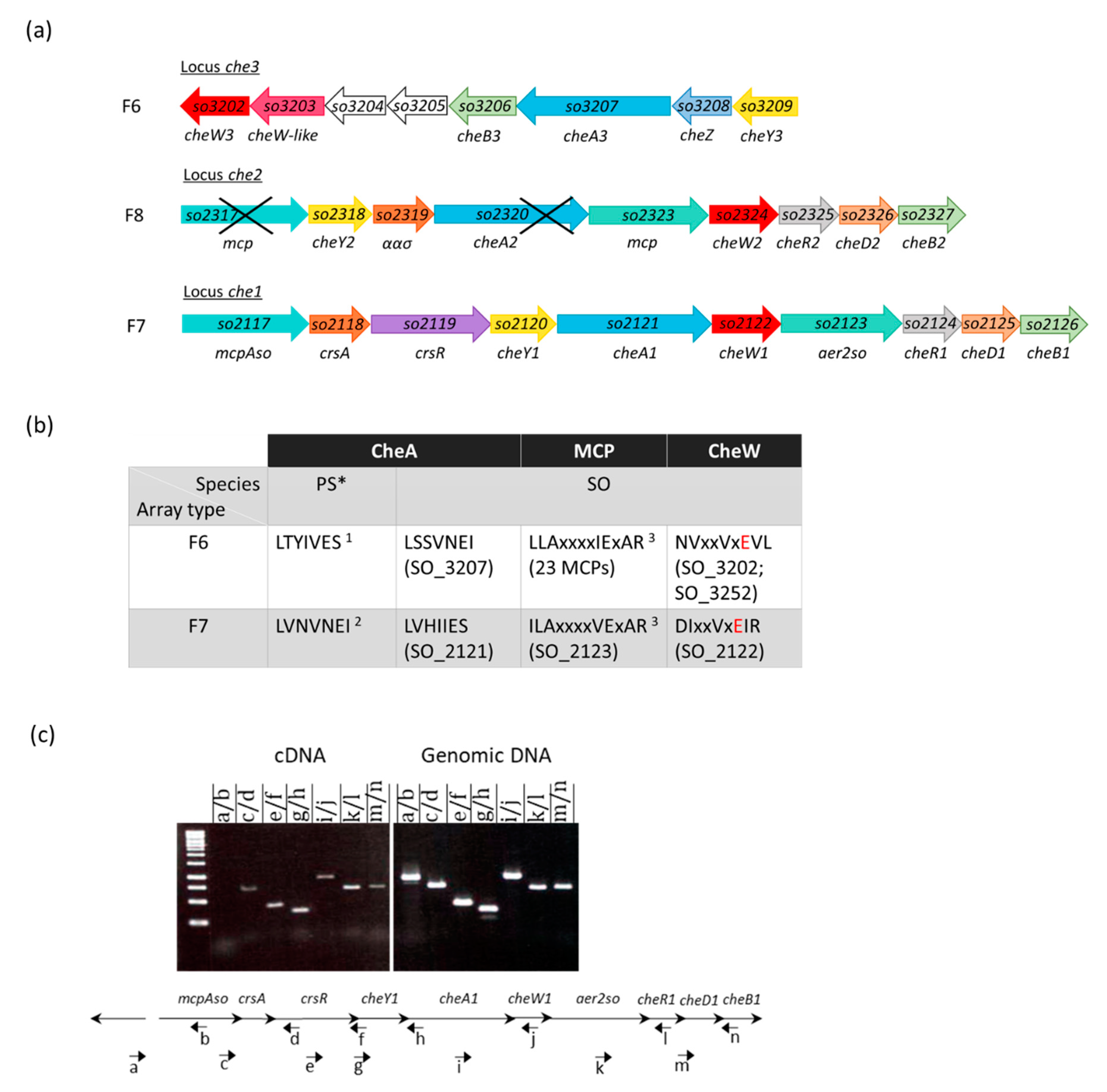 Biomolecules 13 00021 g001