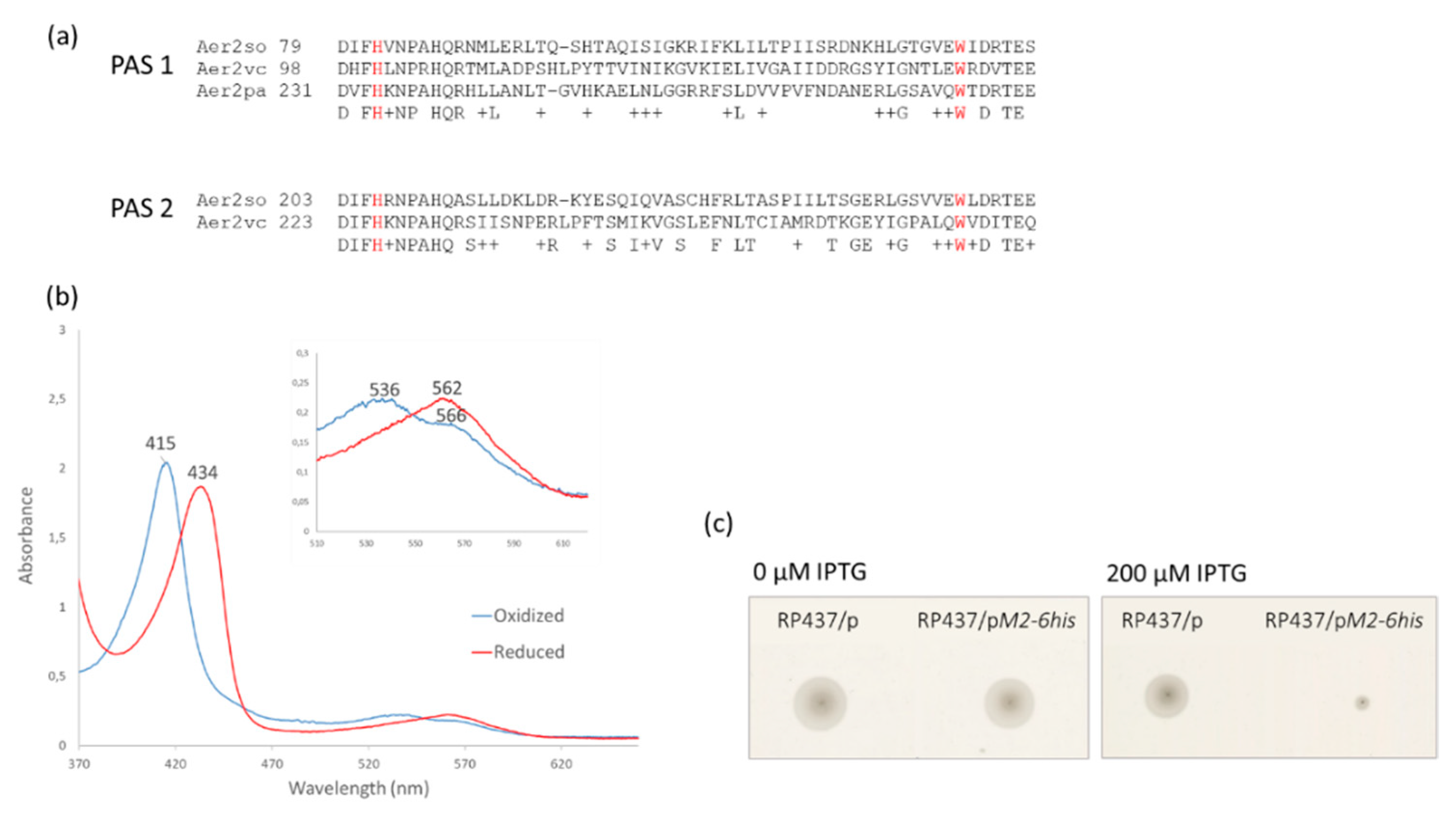 Biomolecules 13 00021 g002