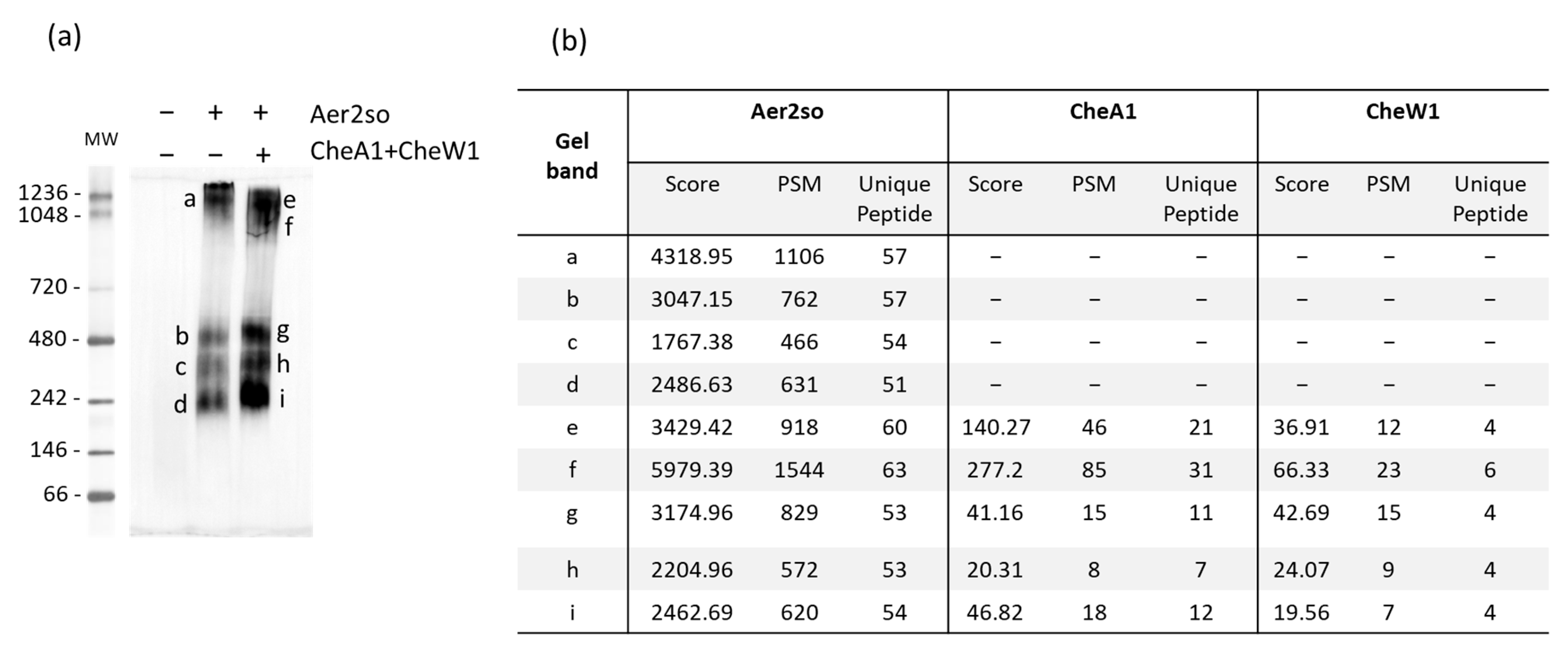 Biomolecules 13 00021 g003