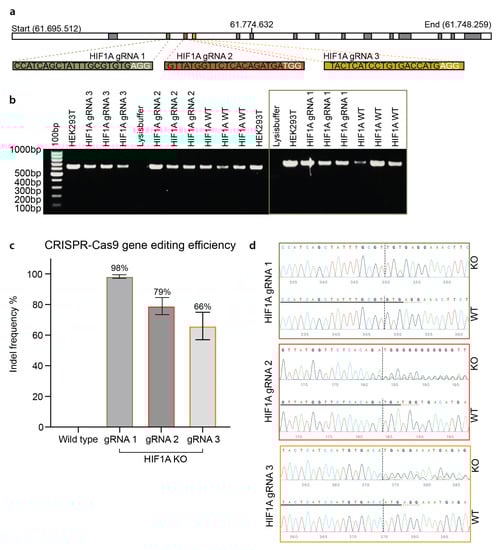 Biomolecules 13 00023 g002