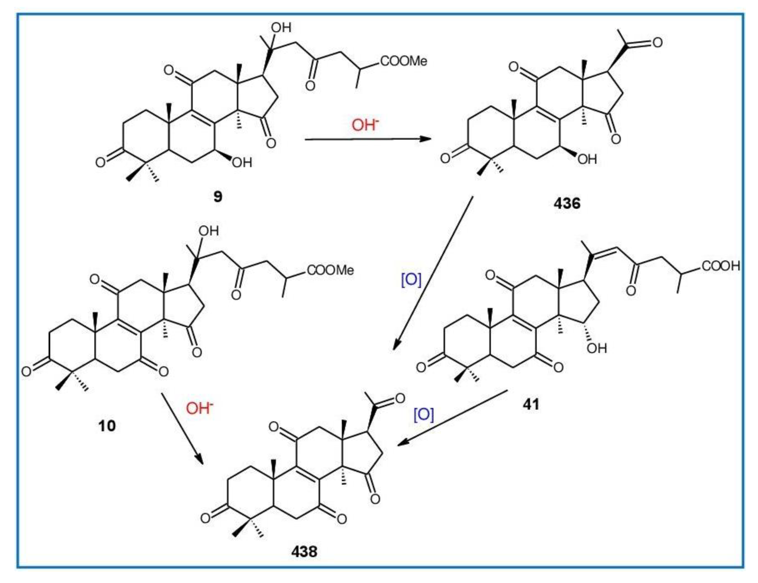 Biomolecules 13 00024 g016
