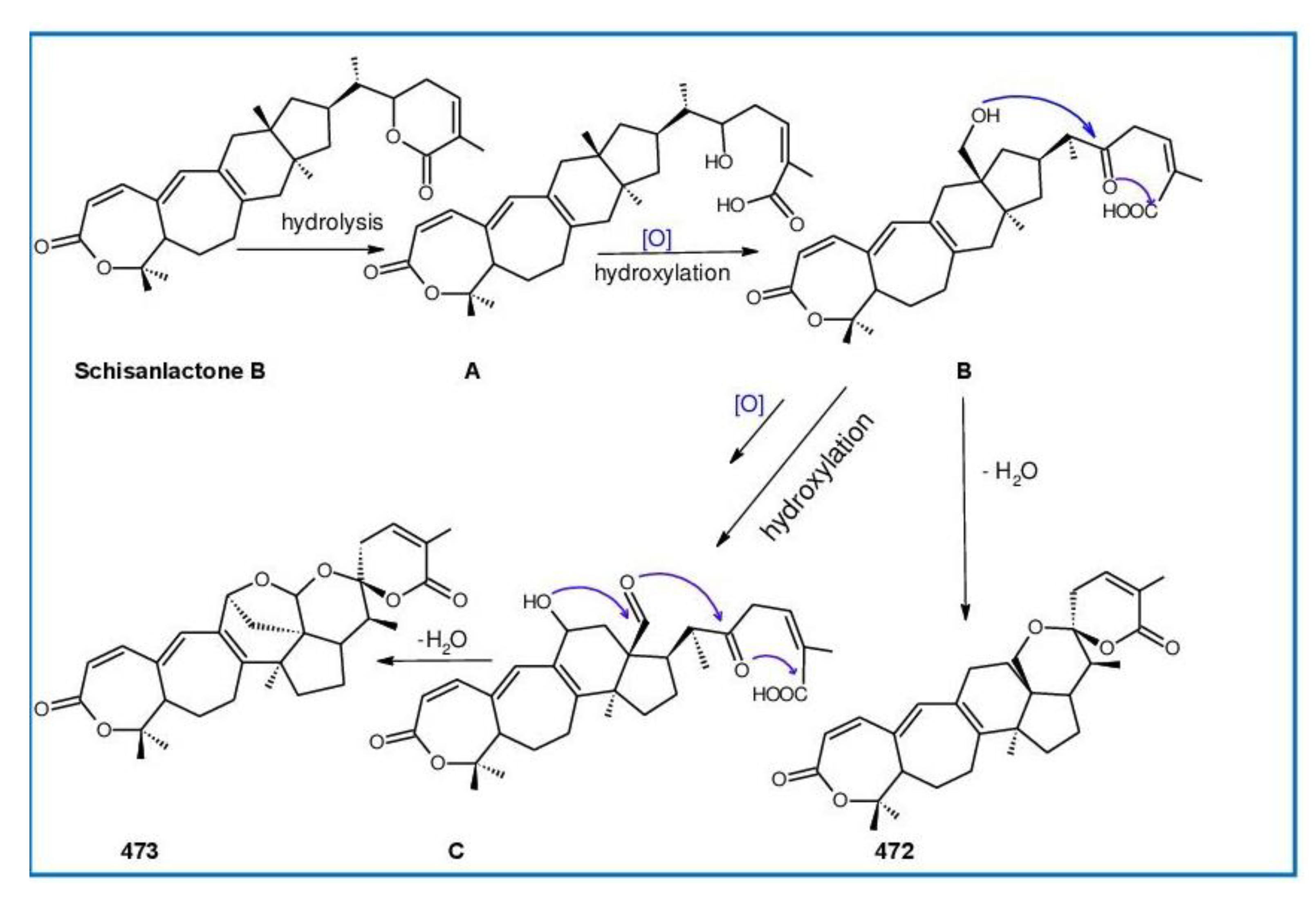 Biomolecules 13 00024 g024