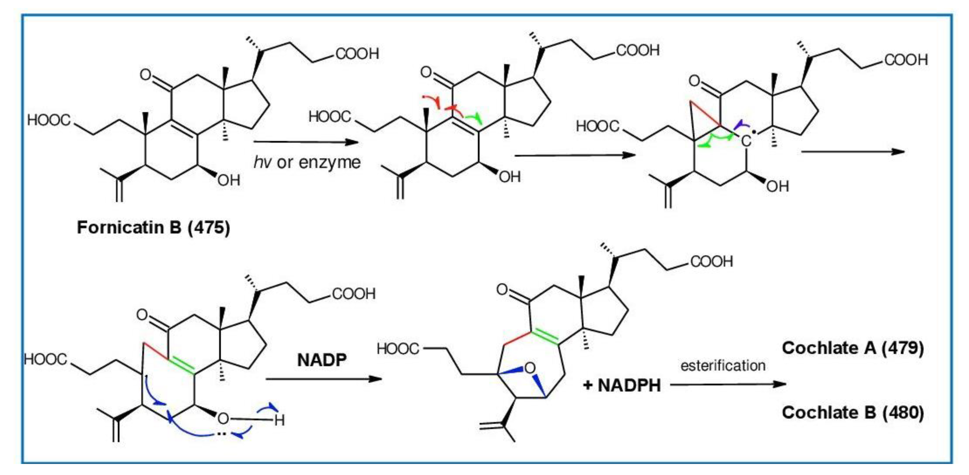 Biomolecules 13 00024 g028