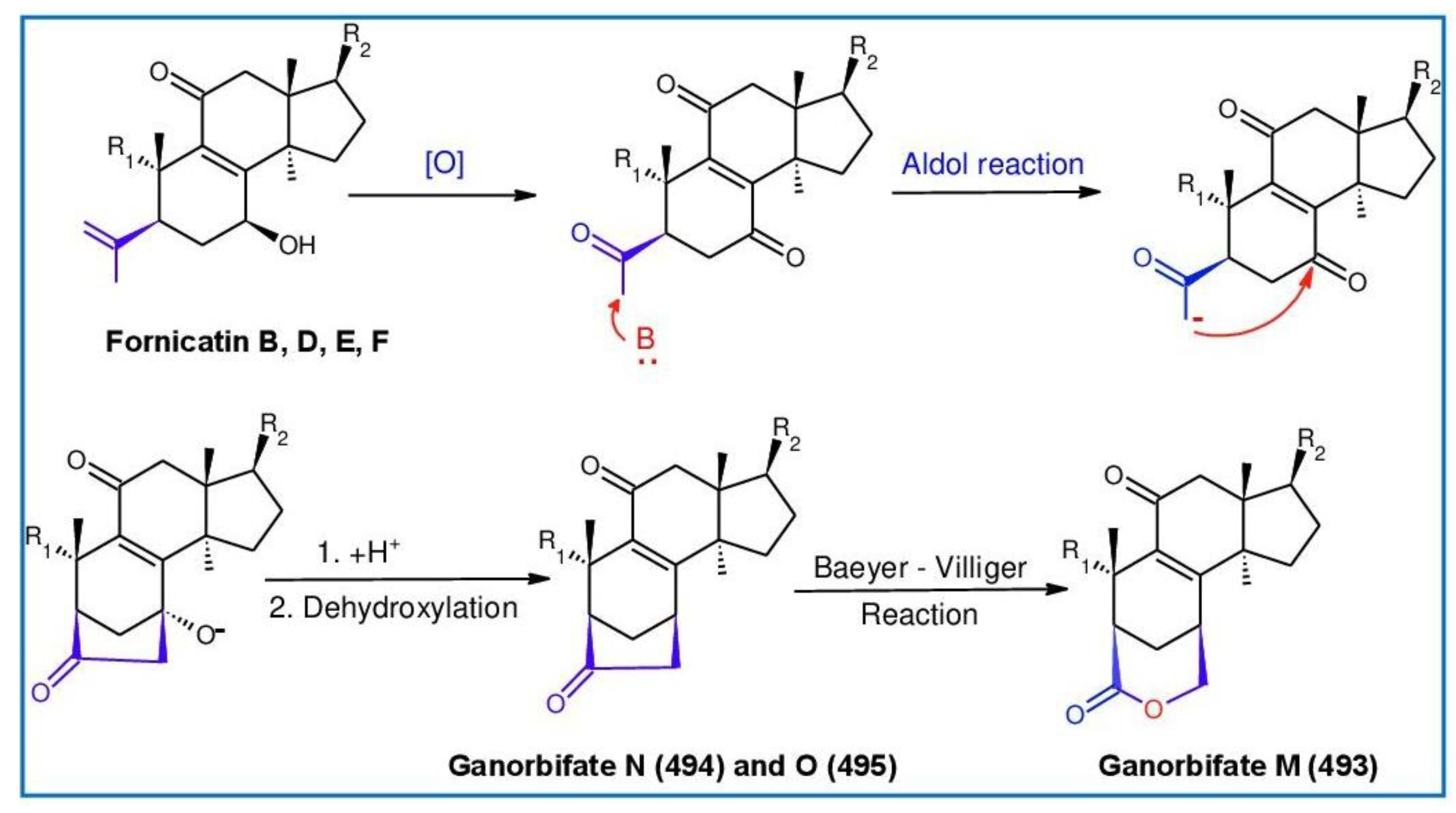 Biomolecules 13 00024 g034