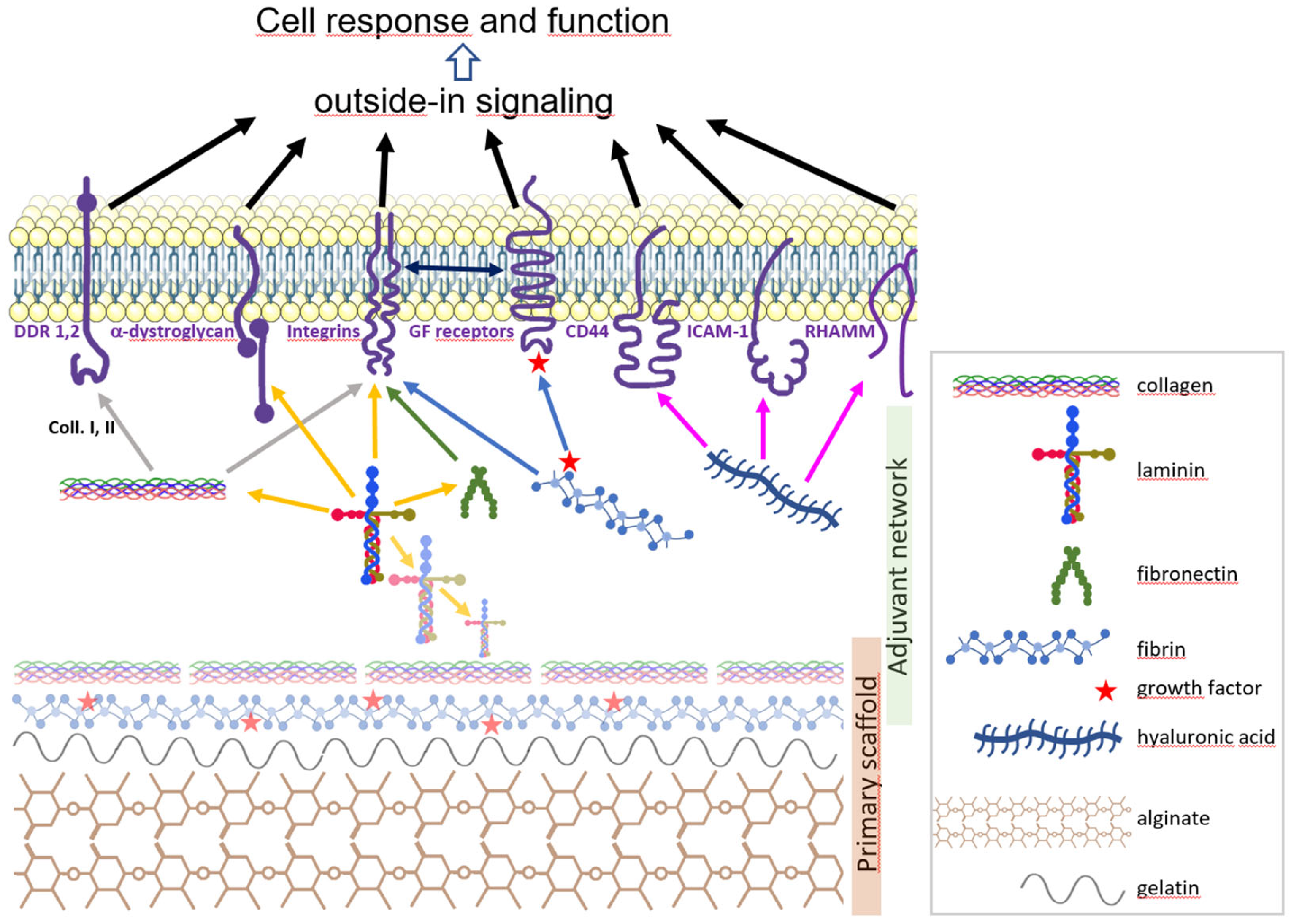 Biomolecules 13 00025 g001