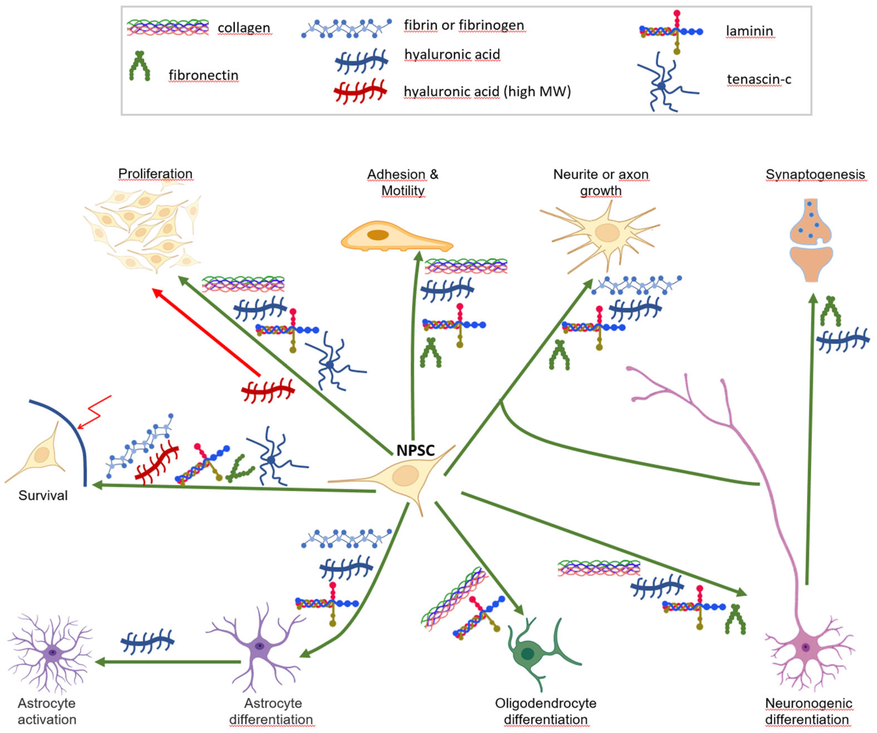 Biomolecules 13 00025 g002
