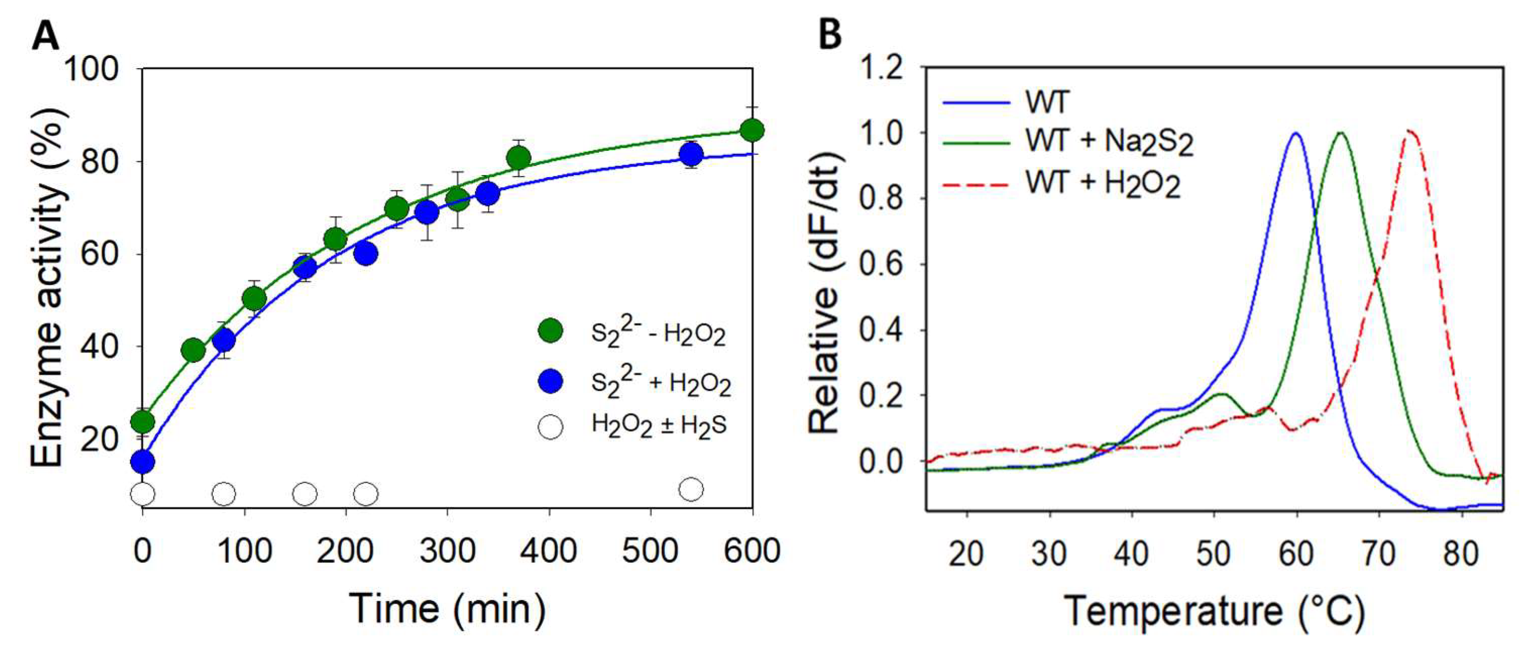 Biomolecules 13 00027 g004
