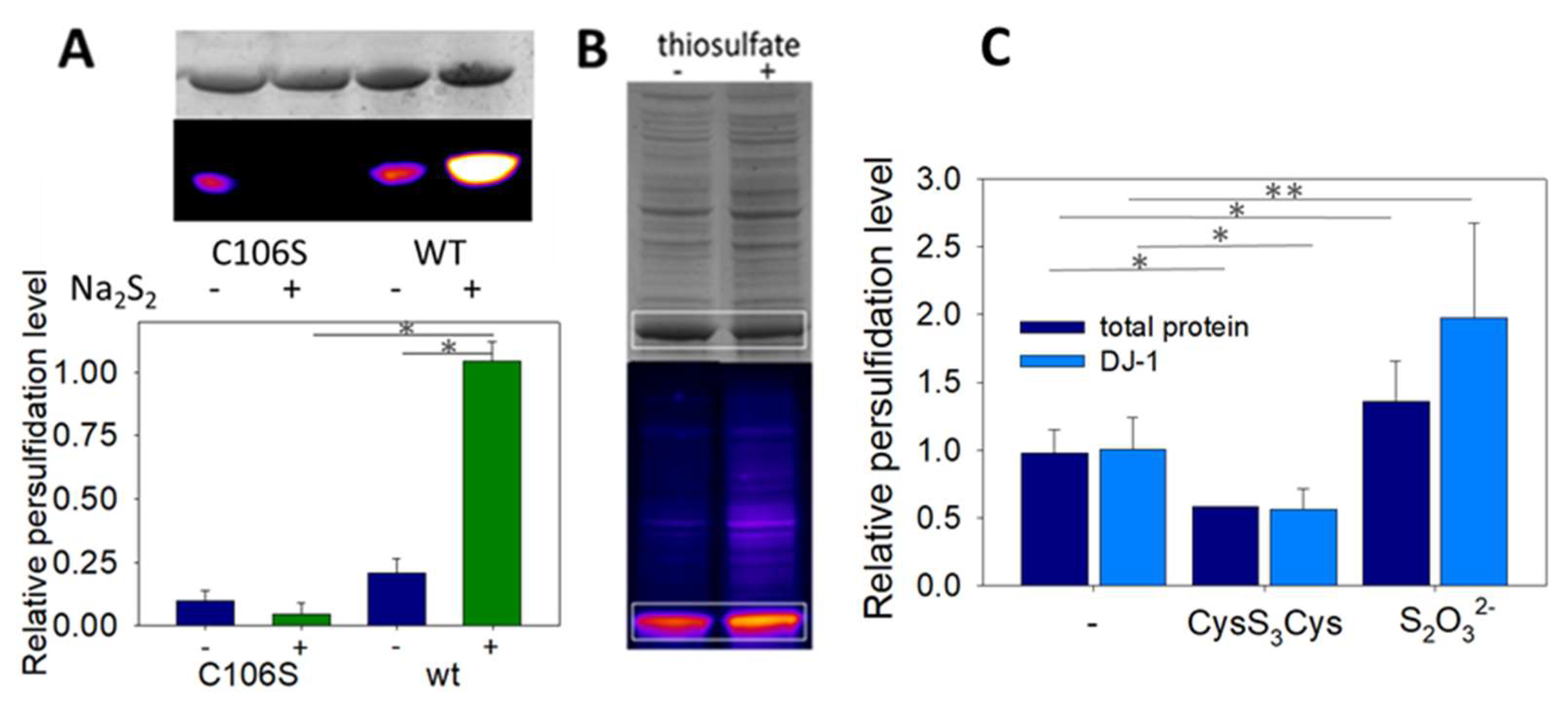 Biomolecules 13 00027 g005