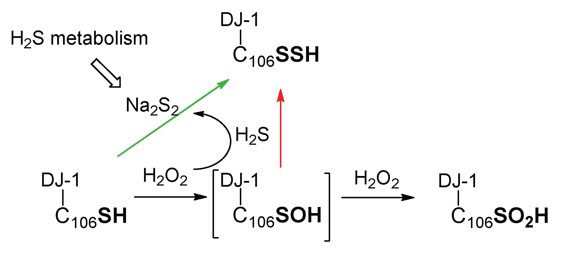 Biomolecules 13 00027 sch002