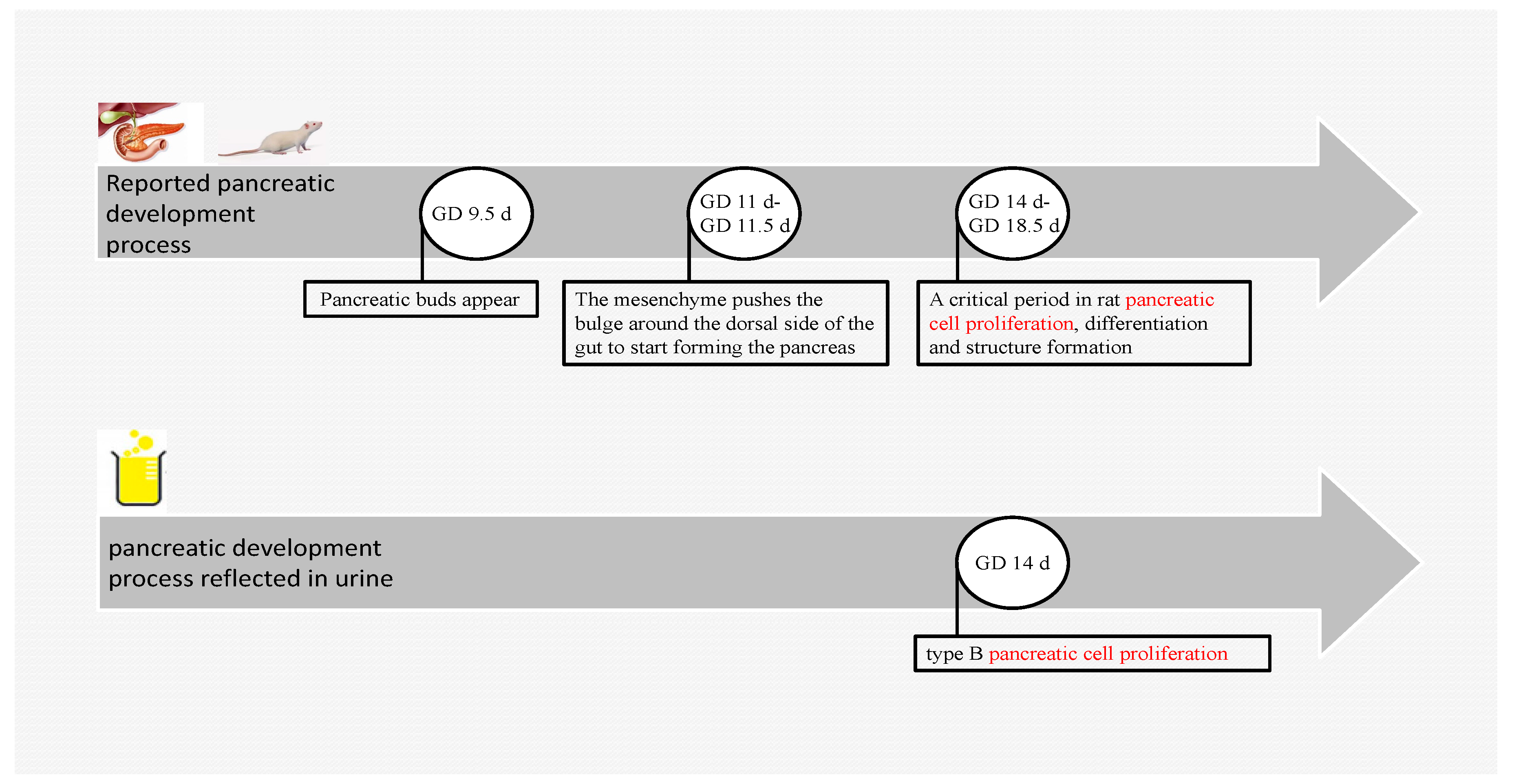 Biomolecules 13 00034 g005